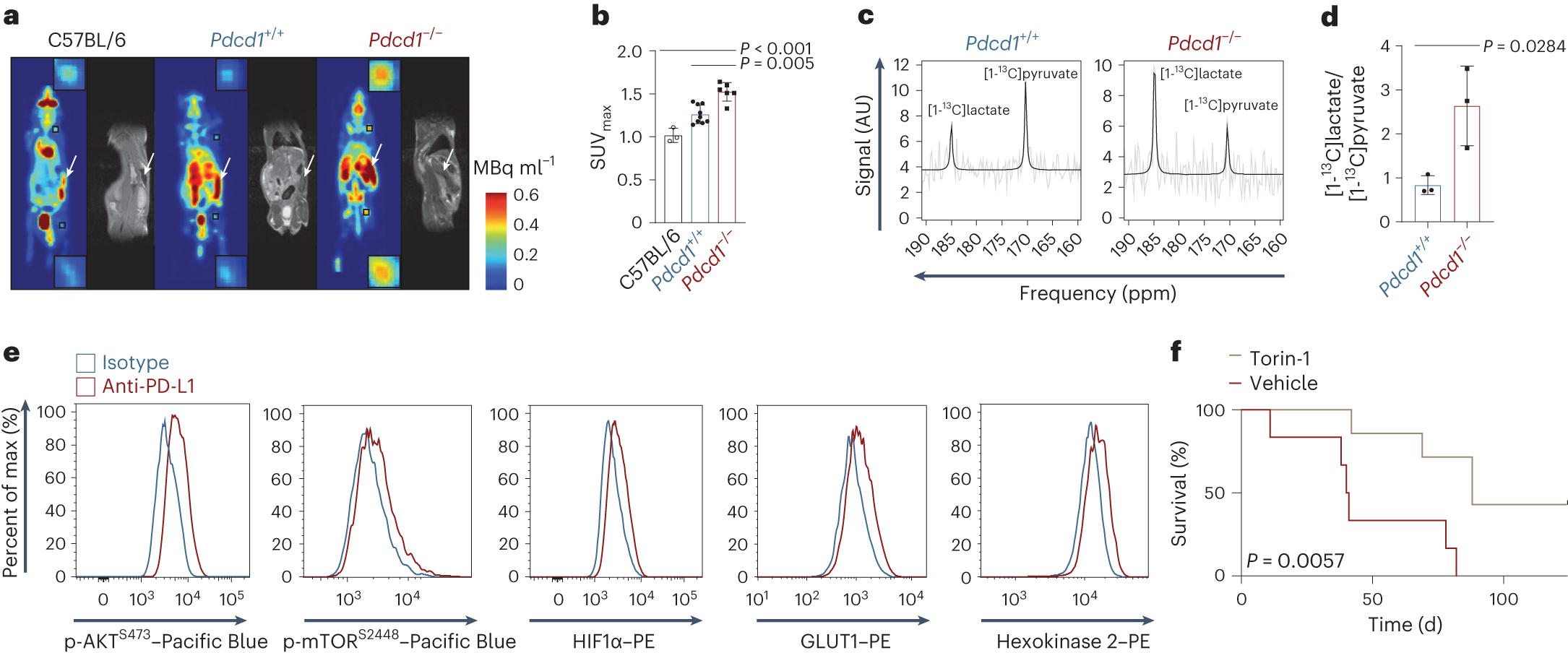 Fig. 2: PD-1 represses mTOR and HIF1α in premalignant cells.