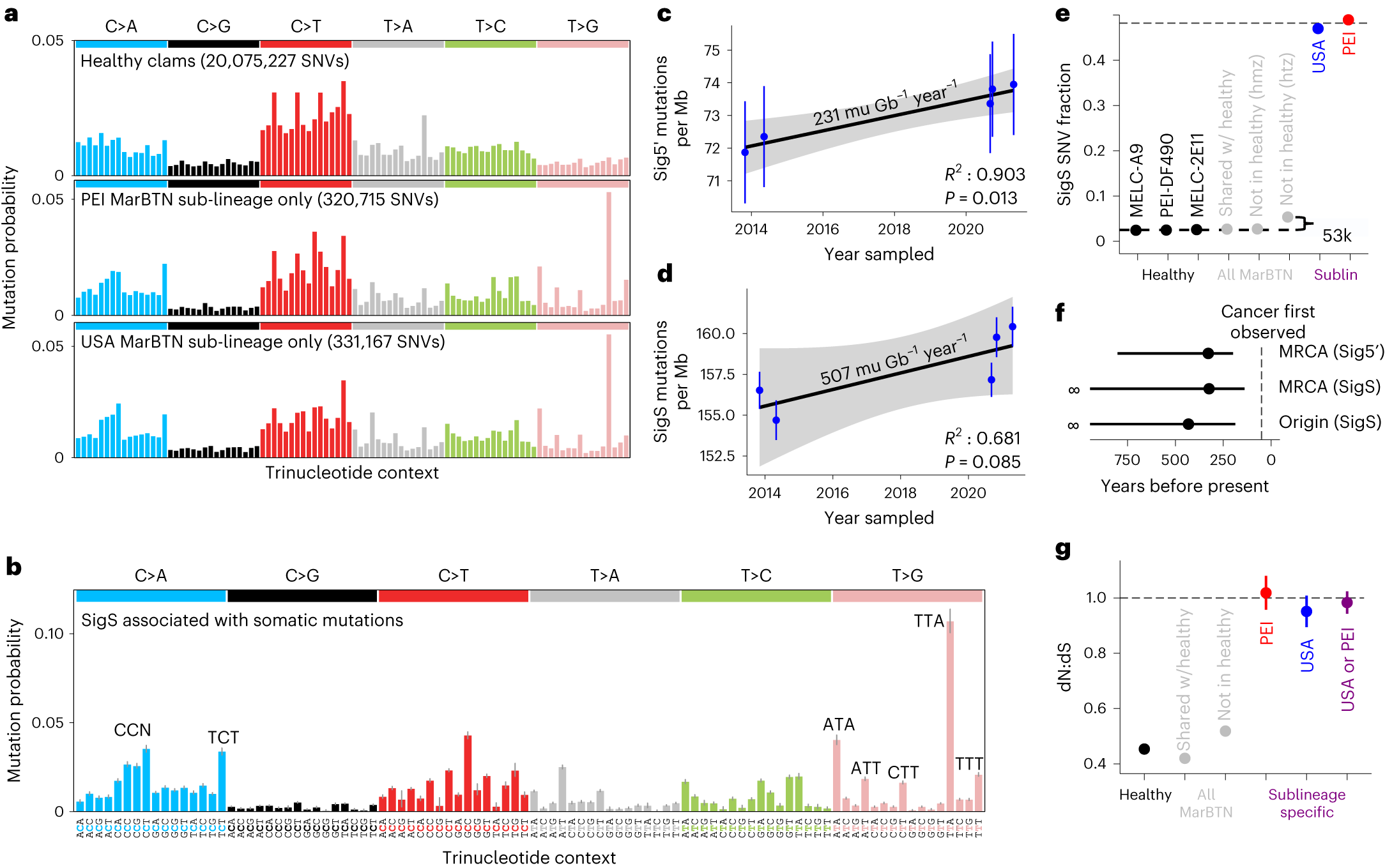 Fig. 2: Unique mutational signature found in somatic mutations dates cancer to >200 years old.