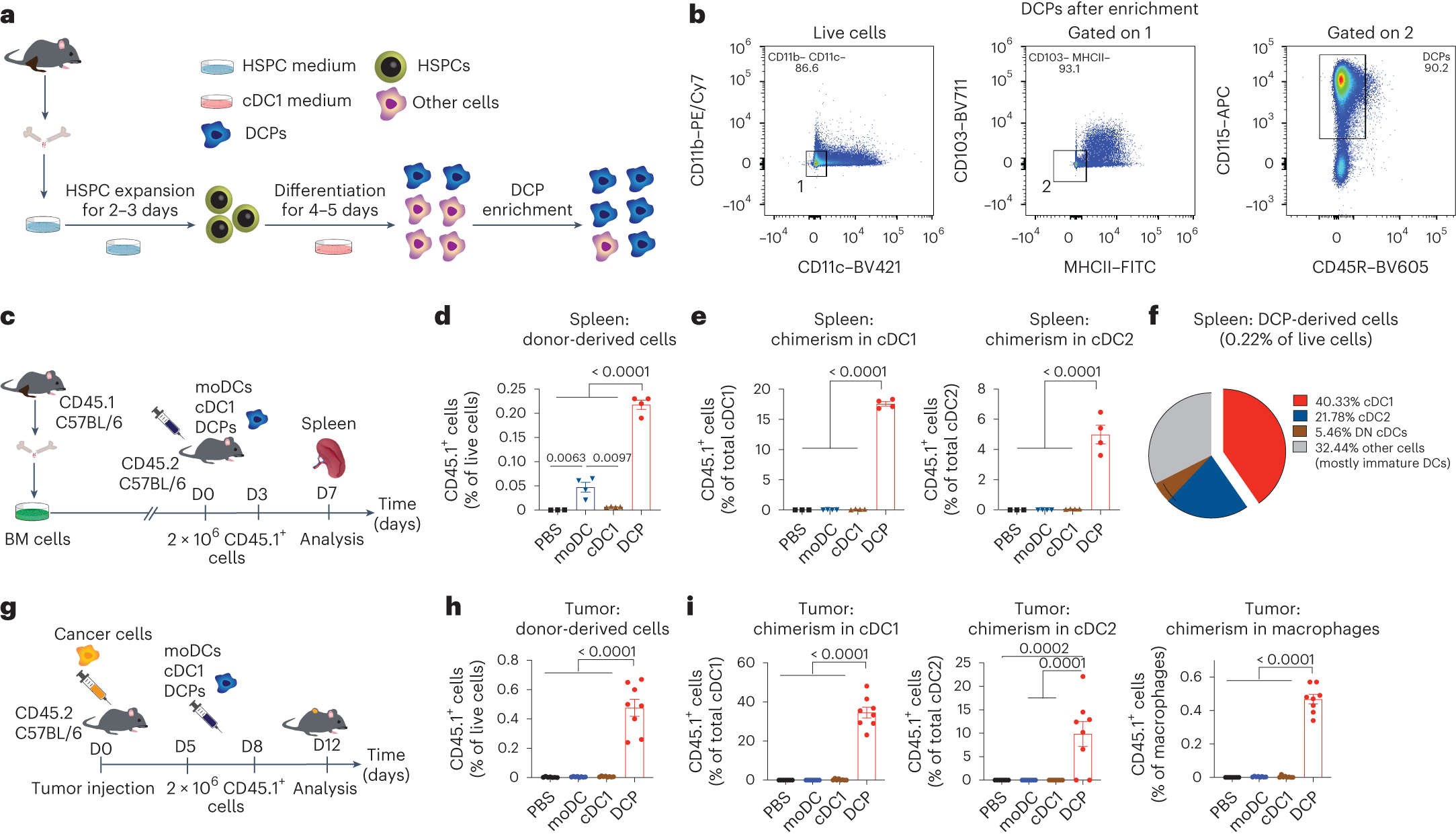 Fig. 1: DCPs efficiently generate cDCs in mice.