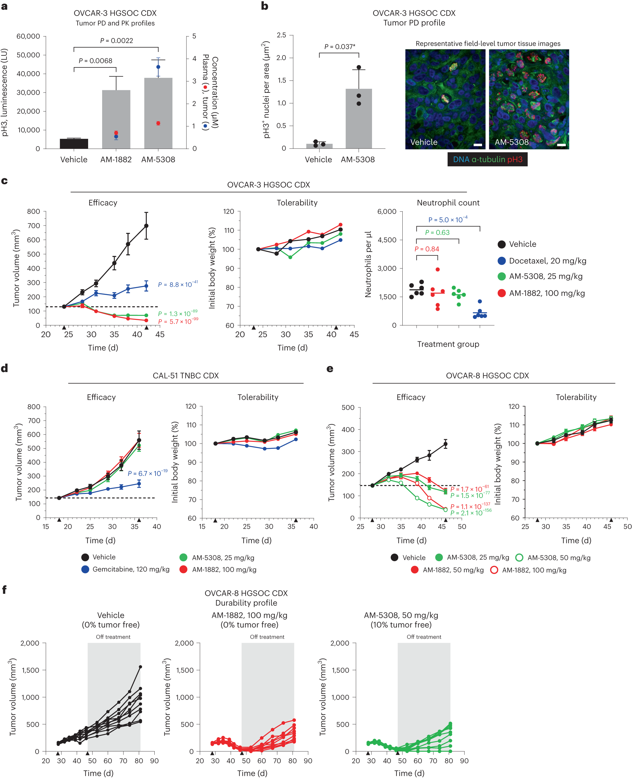 Fig. 5: Characterization of KIF18A inhibition in vivo.