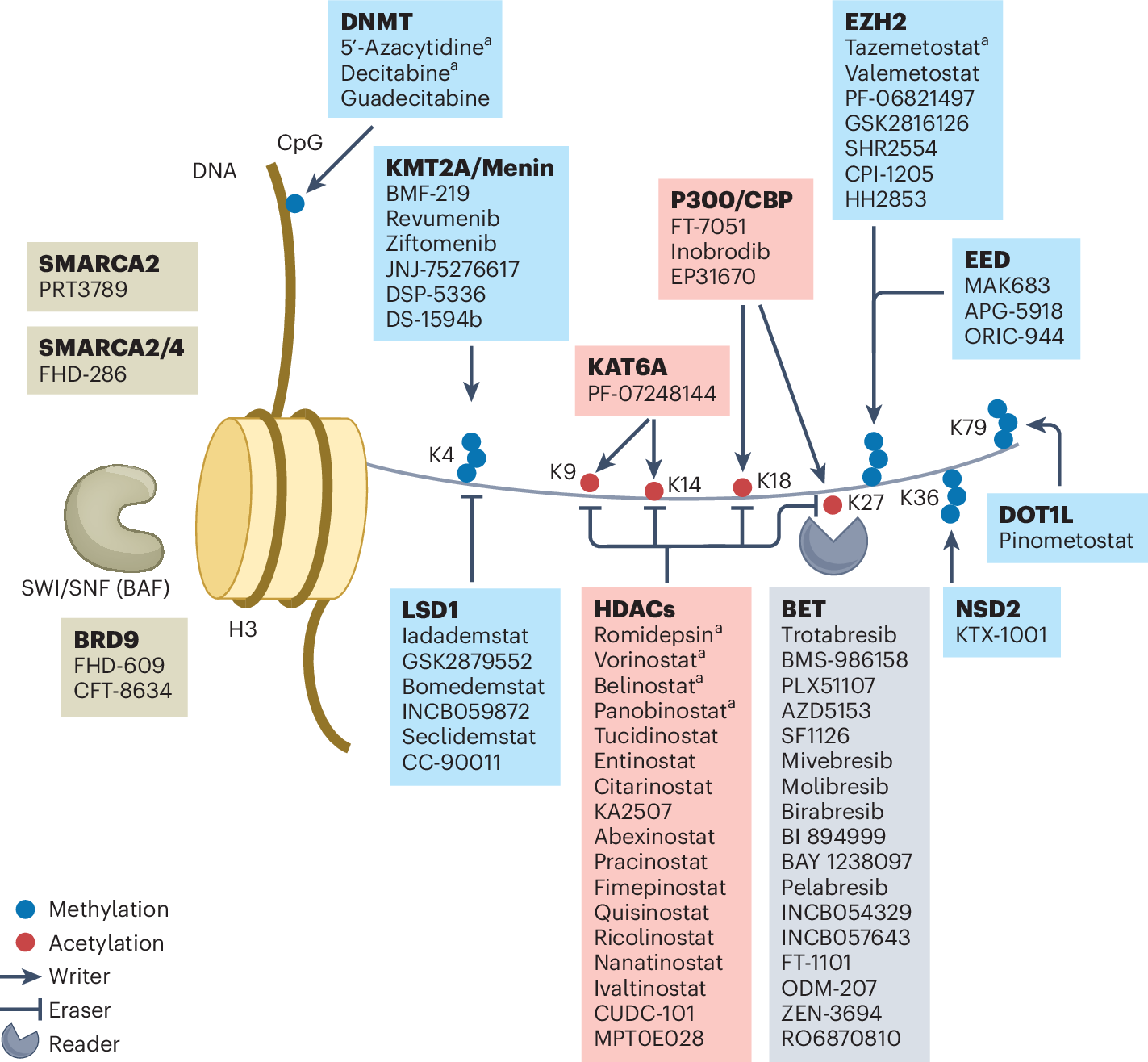 Grafikon a várható érték számításáról és a hosszú távú statisztikákról