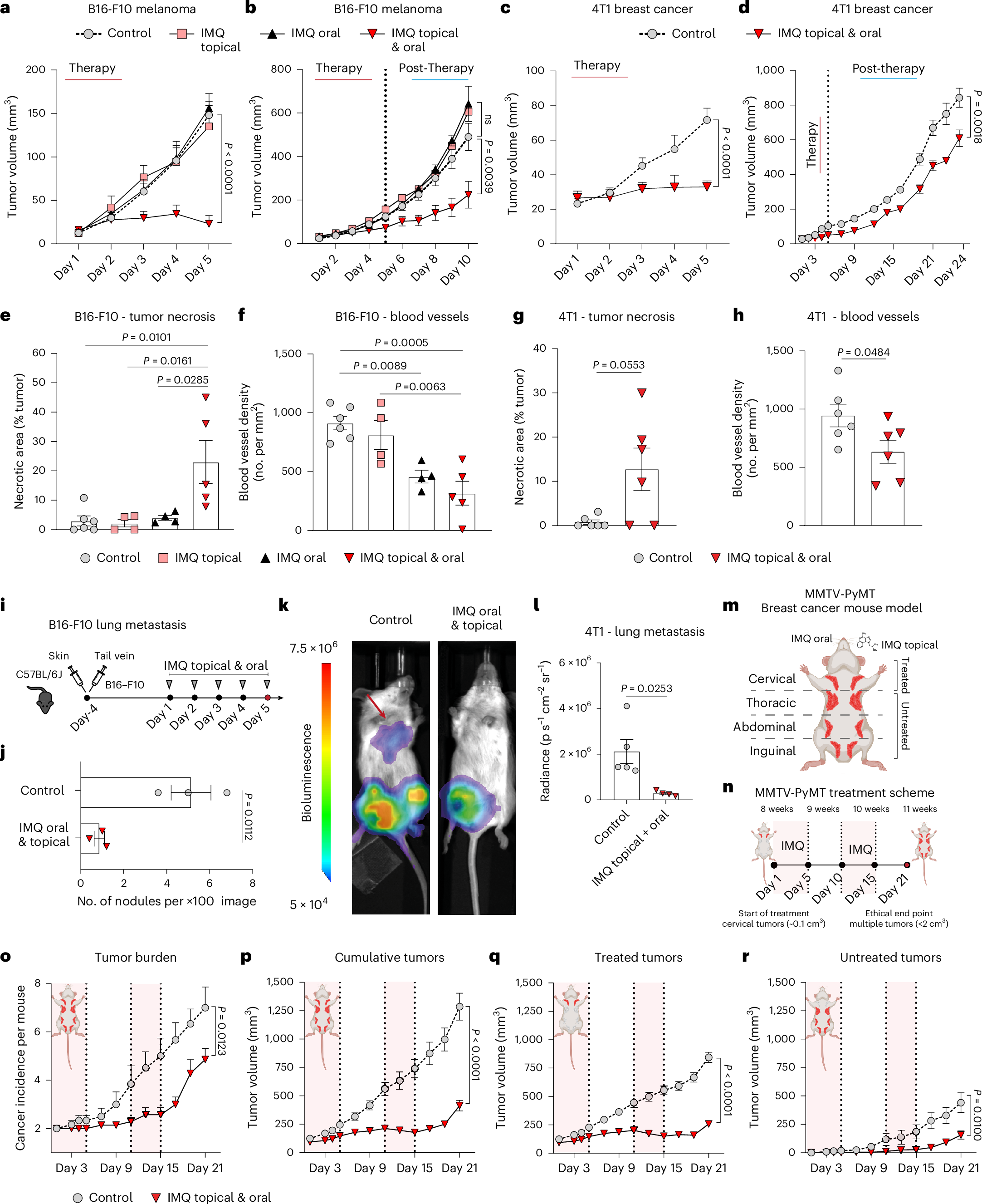 Fig. 1: Oral and topical IMQ promotes local and distant antitumor effects.