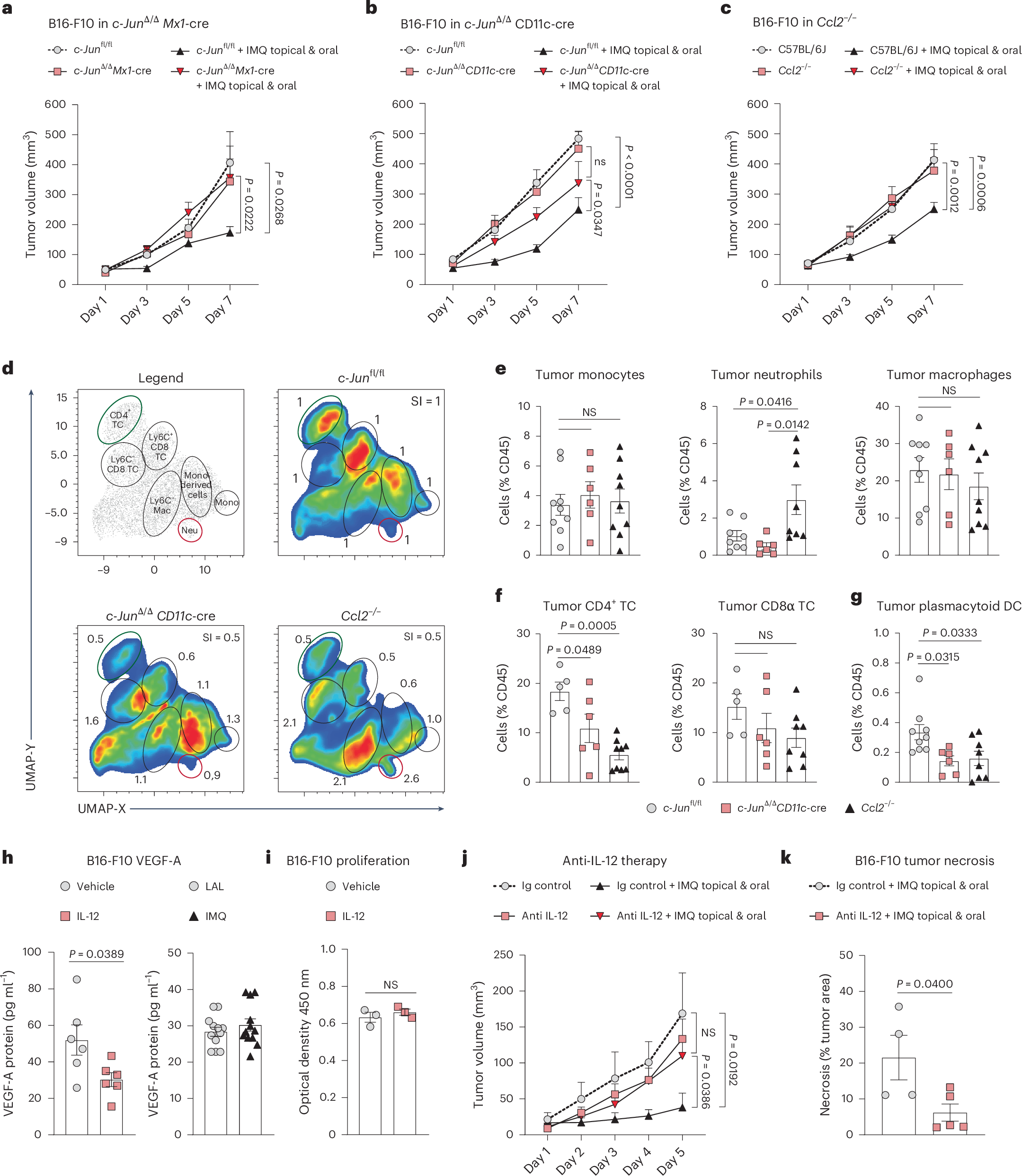 Fig. 6: The IMQ antitumor effect depends on c-Jun signaling in DCs.