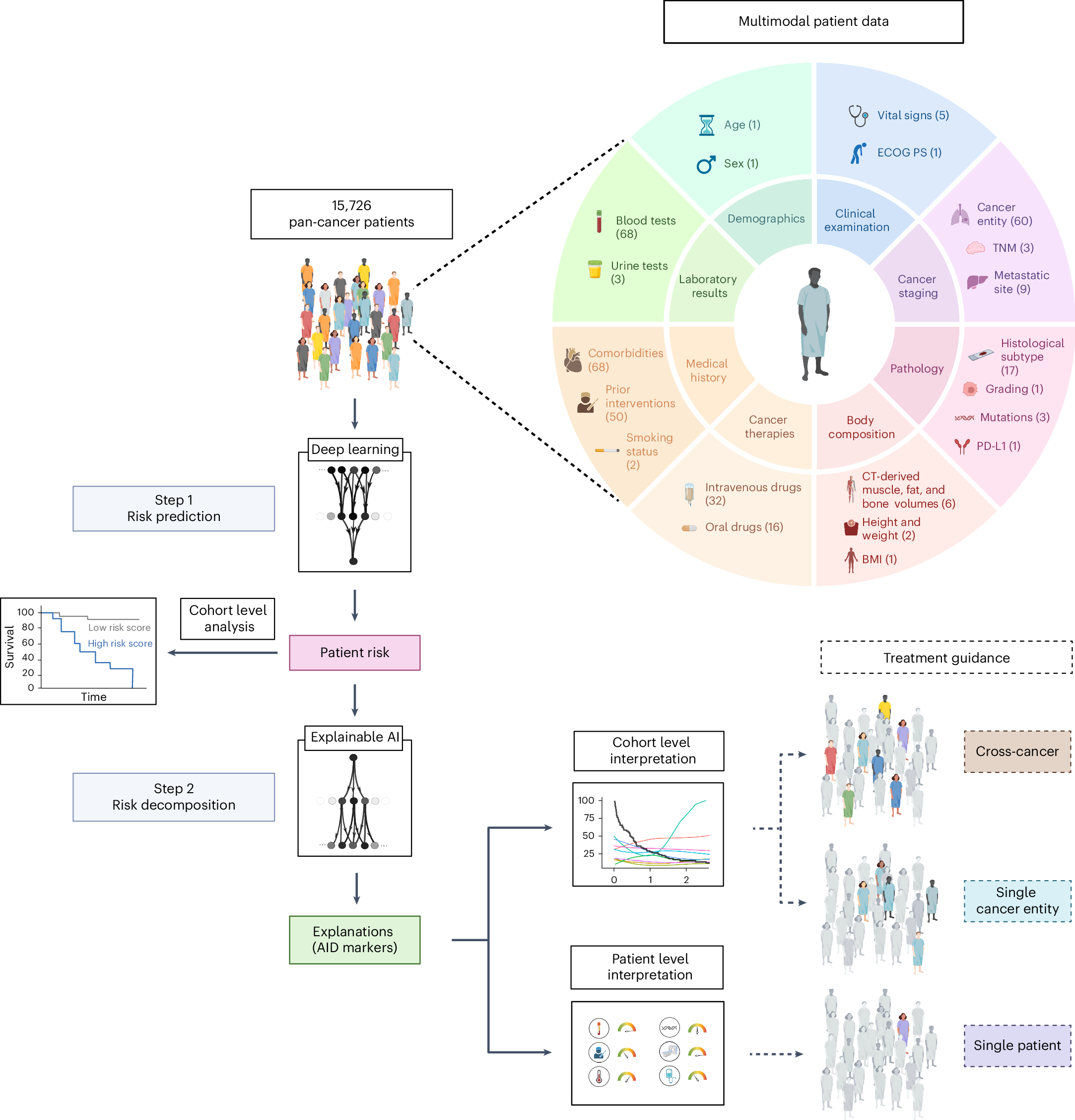 人工知能が個別化がん治療を改善 (Artificial intelligence improves personalized cancer treatment)