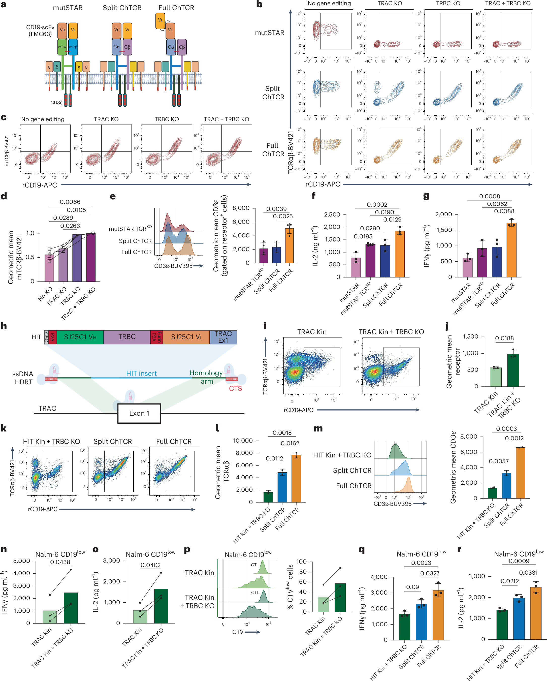 Fig. 3: Endogenous TCR KO improves the expression and antigen sensitivity of HLA-independent receptors.