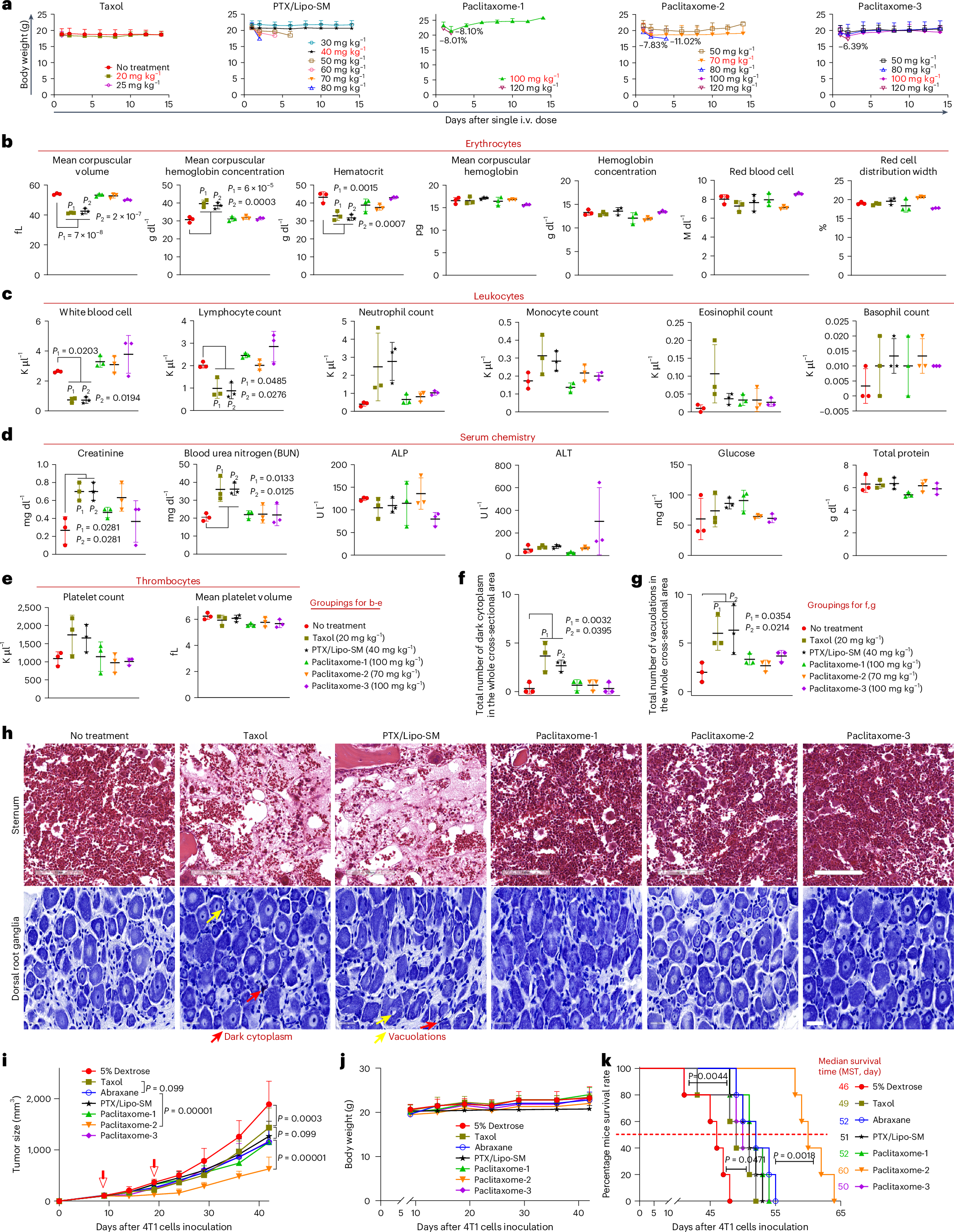 Fig. 2: Paclitaxome-2 bolstered the maximum tolerated dose, reduced adverse effects and outperformed Taxol and Abraxane on therapeutic efficacy in an orthotopic 4T1 TNBC model.