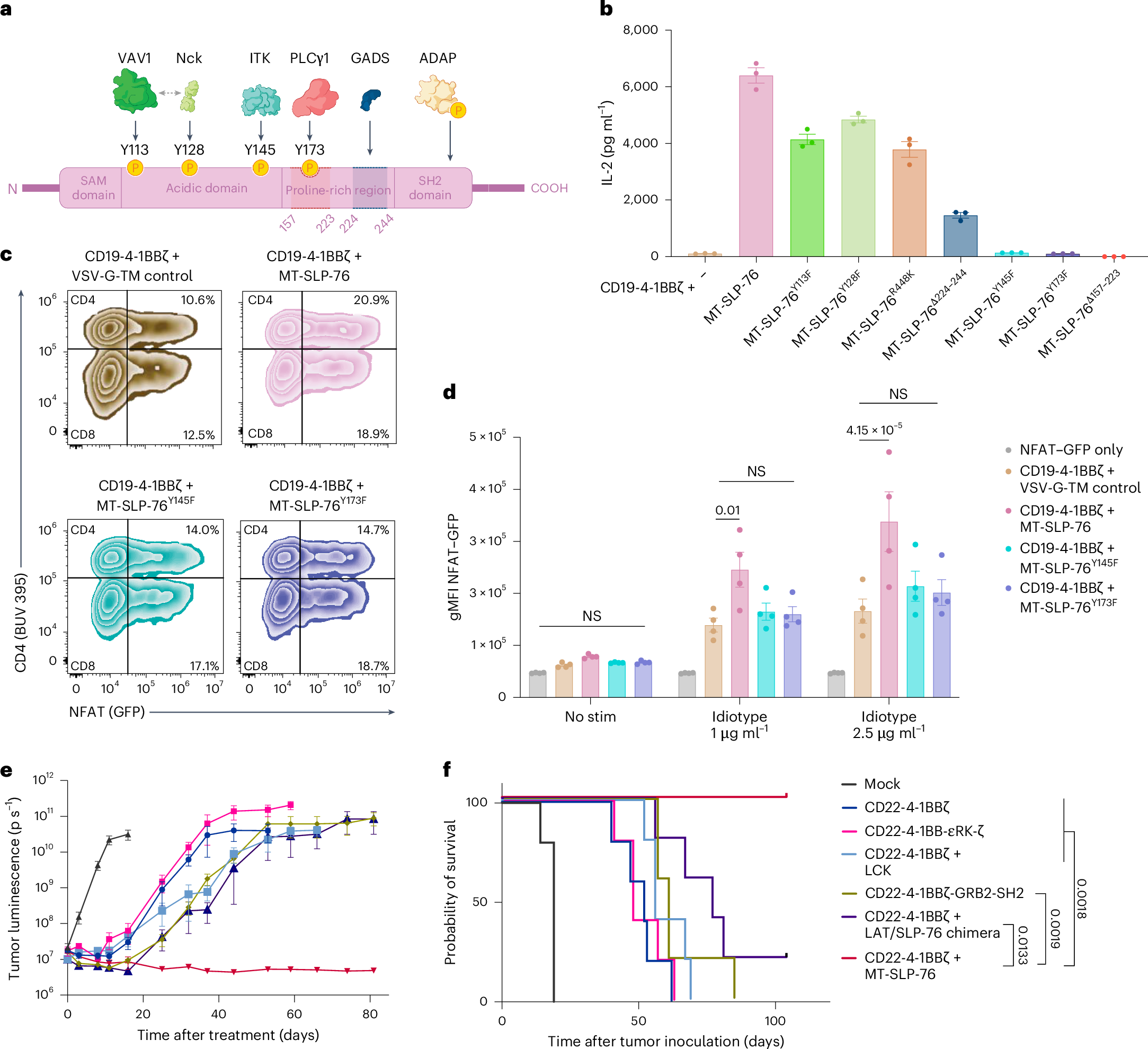 Fig. 6: MT-SLP-76 signaling is dependent on ITK and PLCγ1.