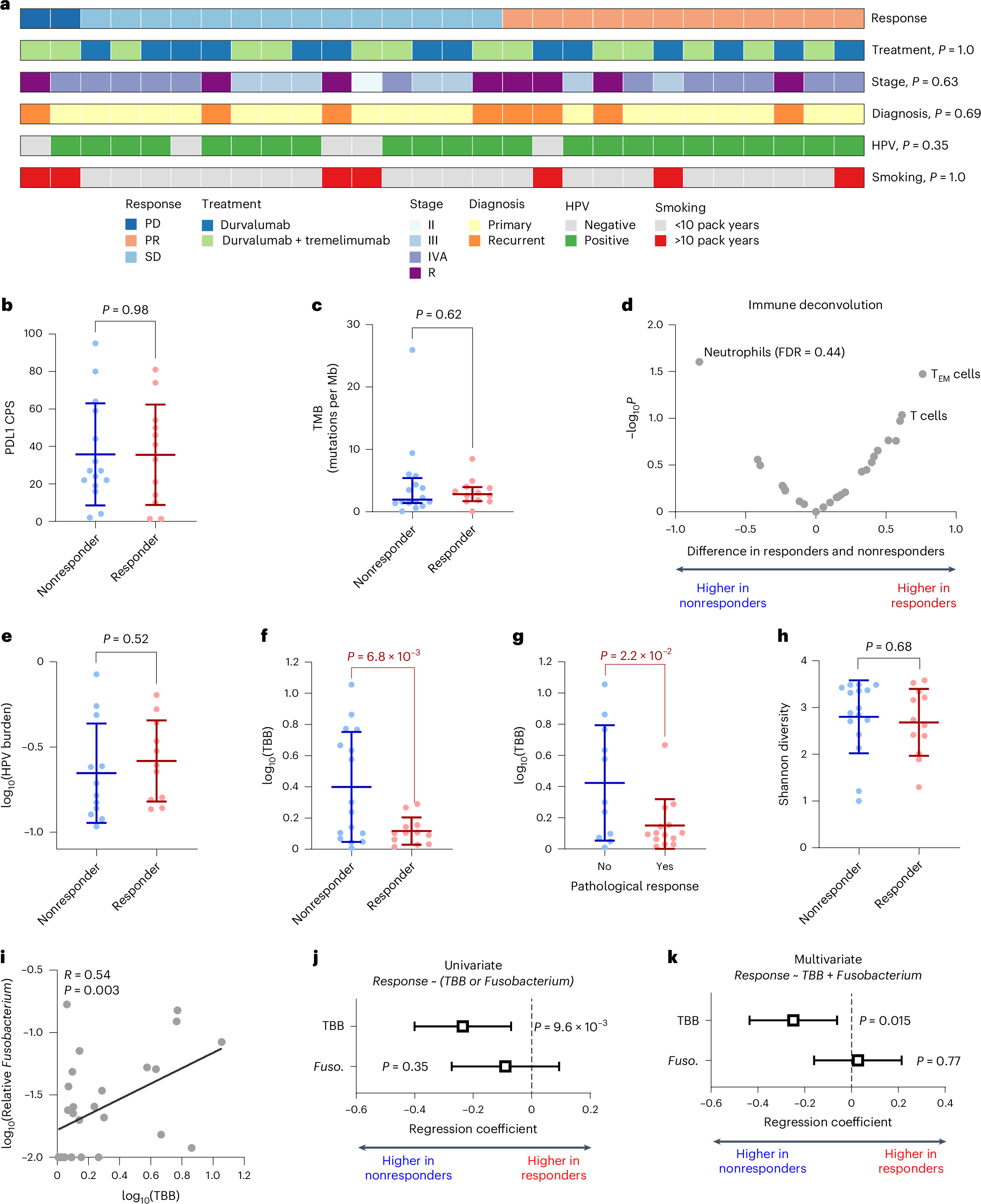Fig. 1: High intratumoral bacteria is associated with ICB resistance.