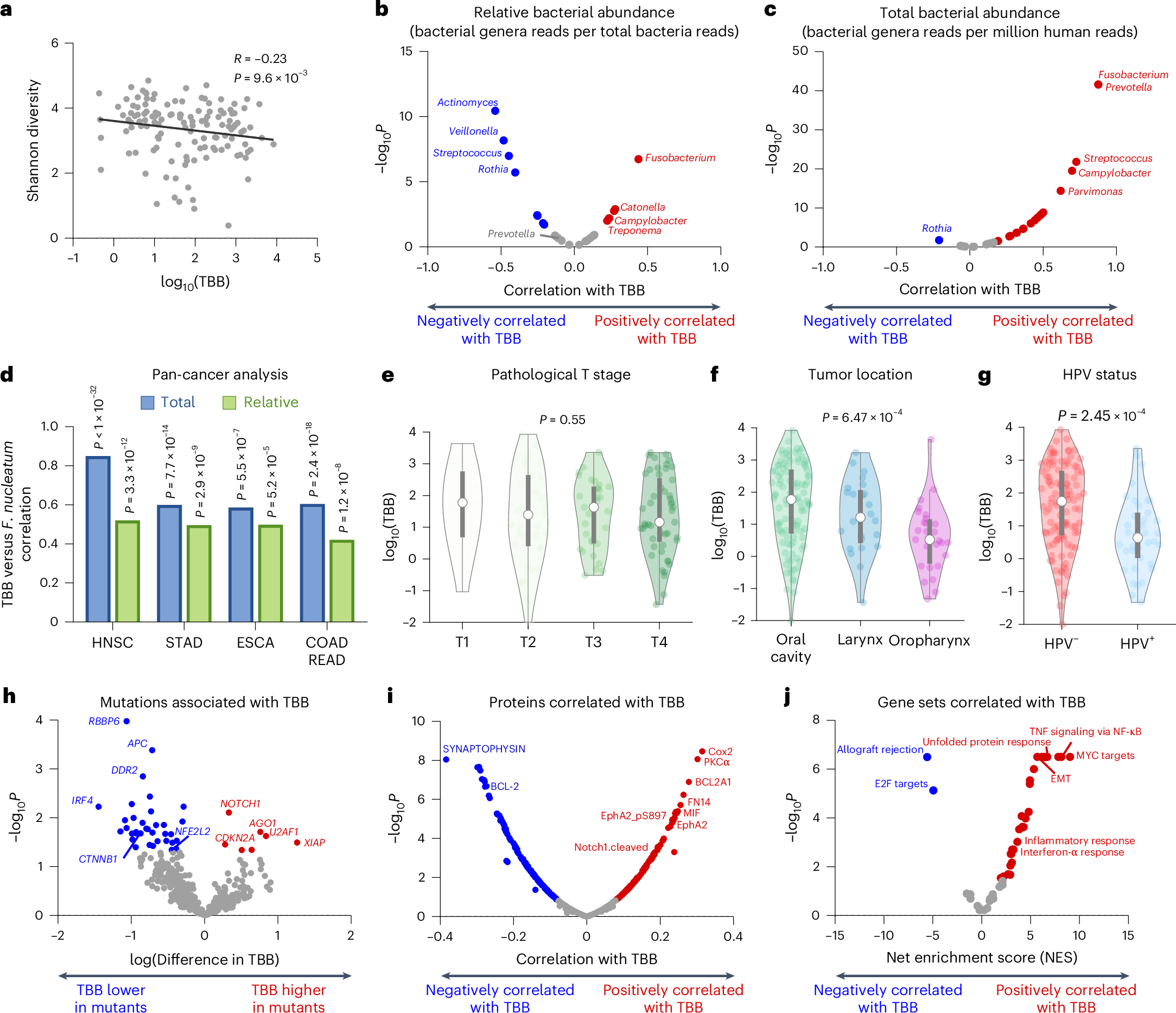 Fig. 3: Microbial, clinical and molecular correlates of intratumoral bacteria burden.