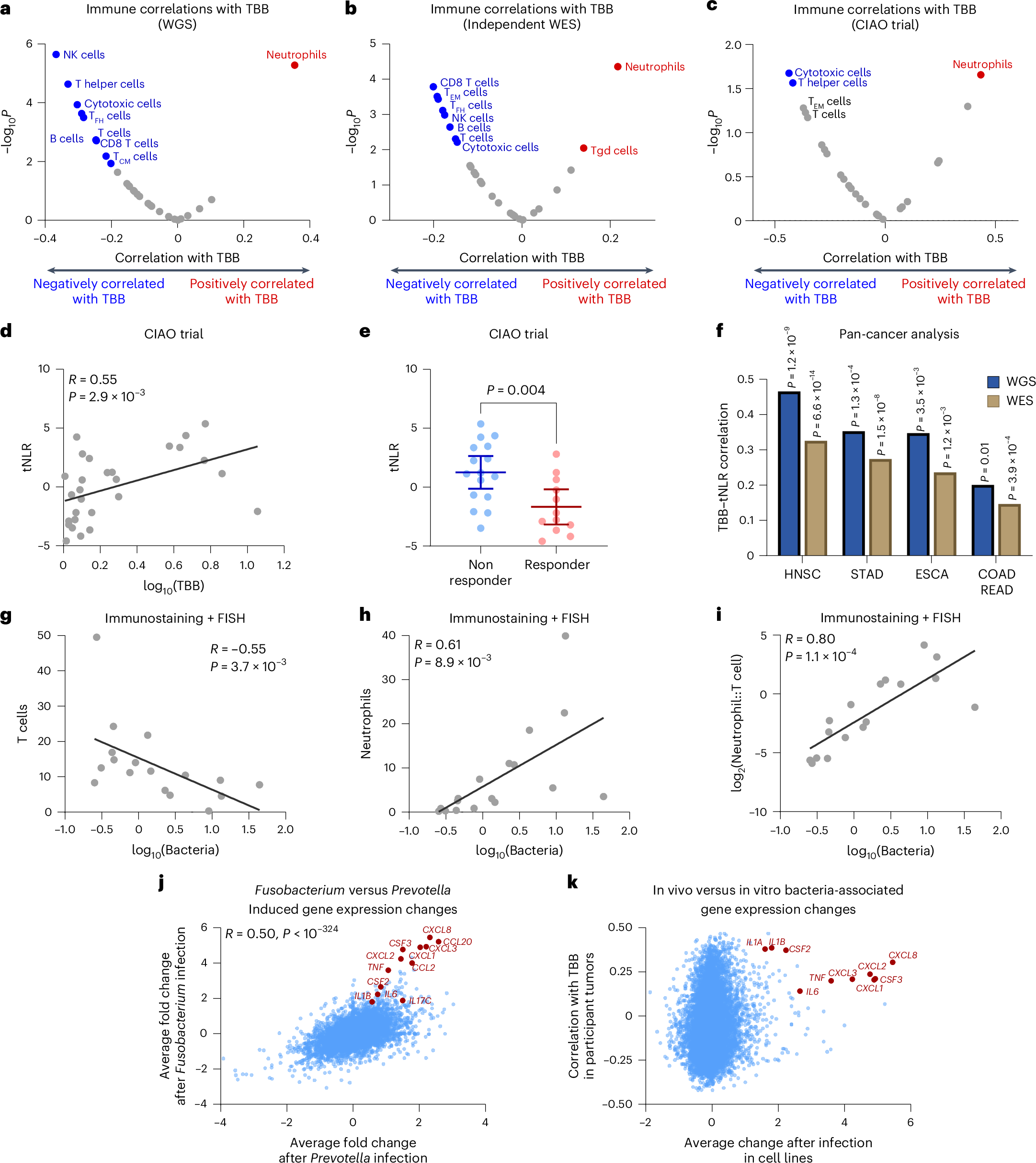Fig. 4: Changes in the tumor immune microenvironment associated with intratumoral bacteria burden.
