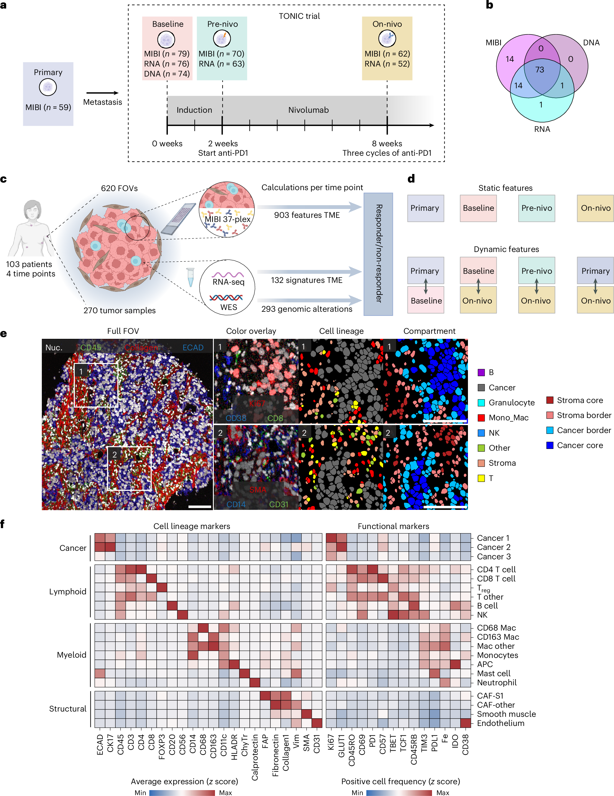 Temporal and spatial composition of the tumor microenvironment predicts response to immune checkpoint inhibition in metastatic TNBC