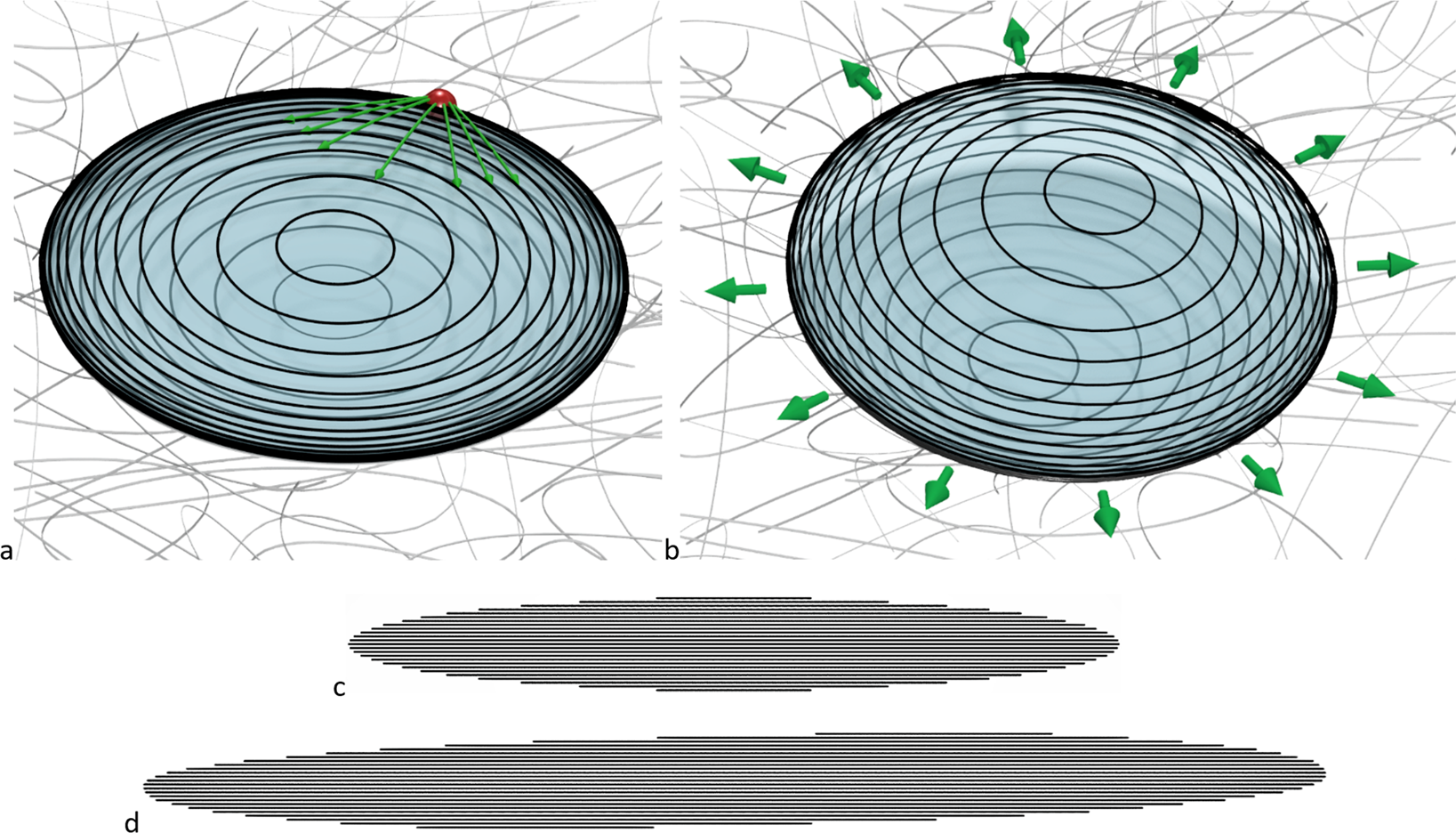 Fig. 3: The stages of an Eshelby inclusion avalanche.