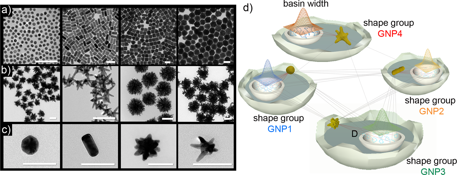 Classification And Biological Identity Of Complex Nano Shapes