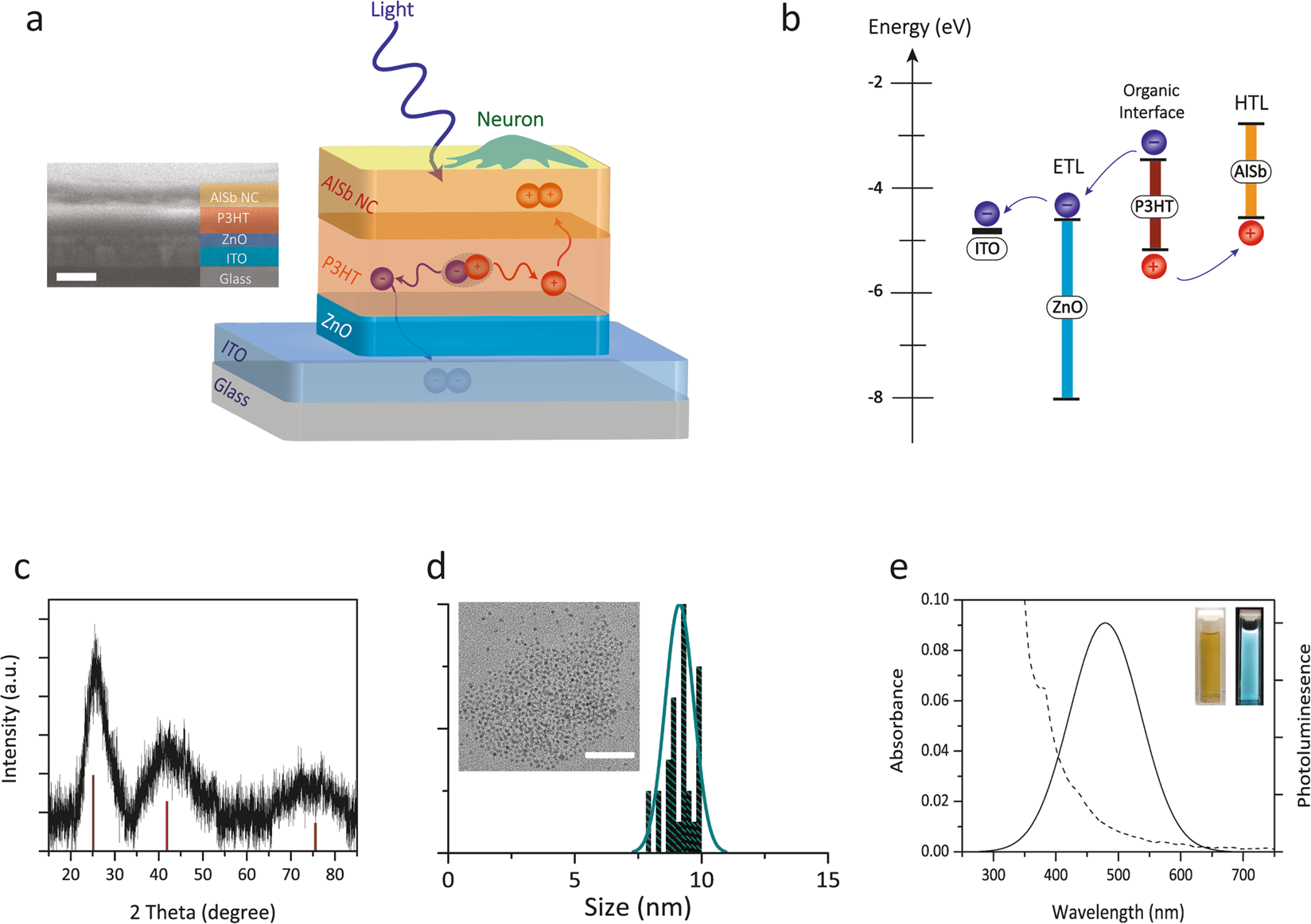Photovoltaic neurointerface based on aluminum antimonide ...