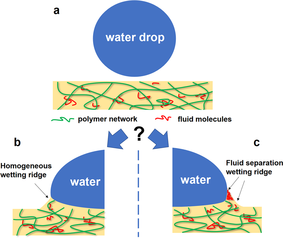 Surfaces' termination (up/down), surface energy (E surf , in J/m 2