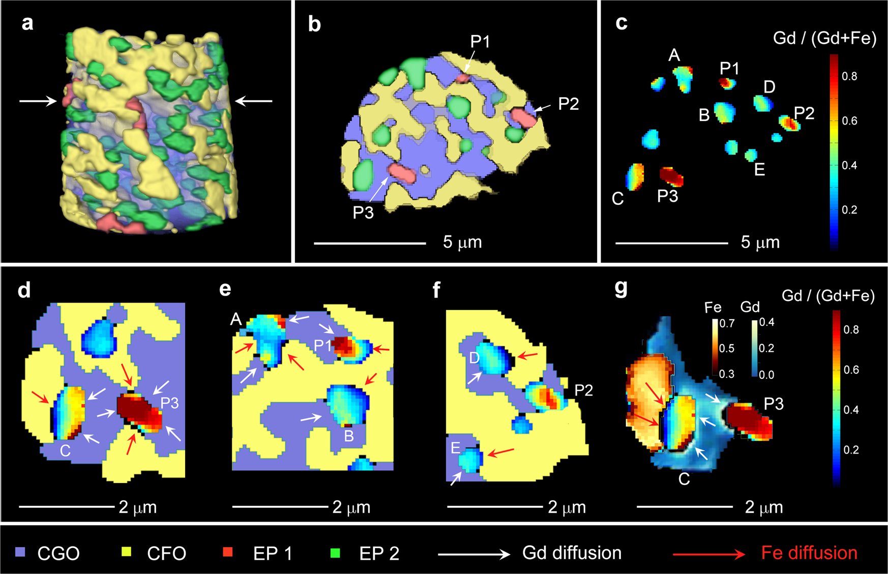 Fig. 3: Visualization of four material phases (CGO, CFO, EP1, and EP2).
