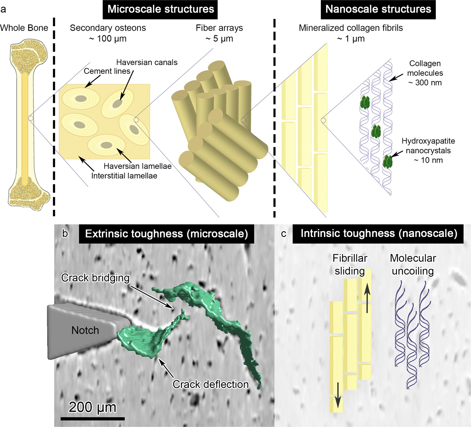 Microscale - an overview