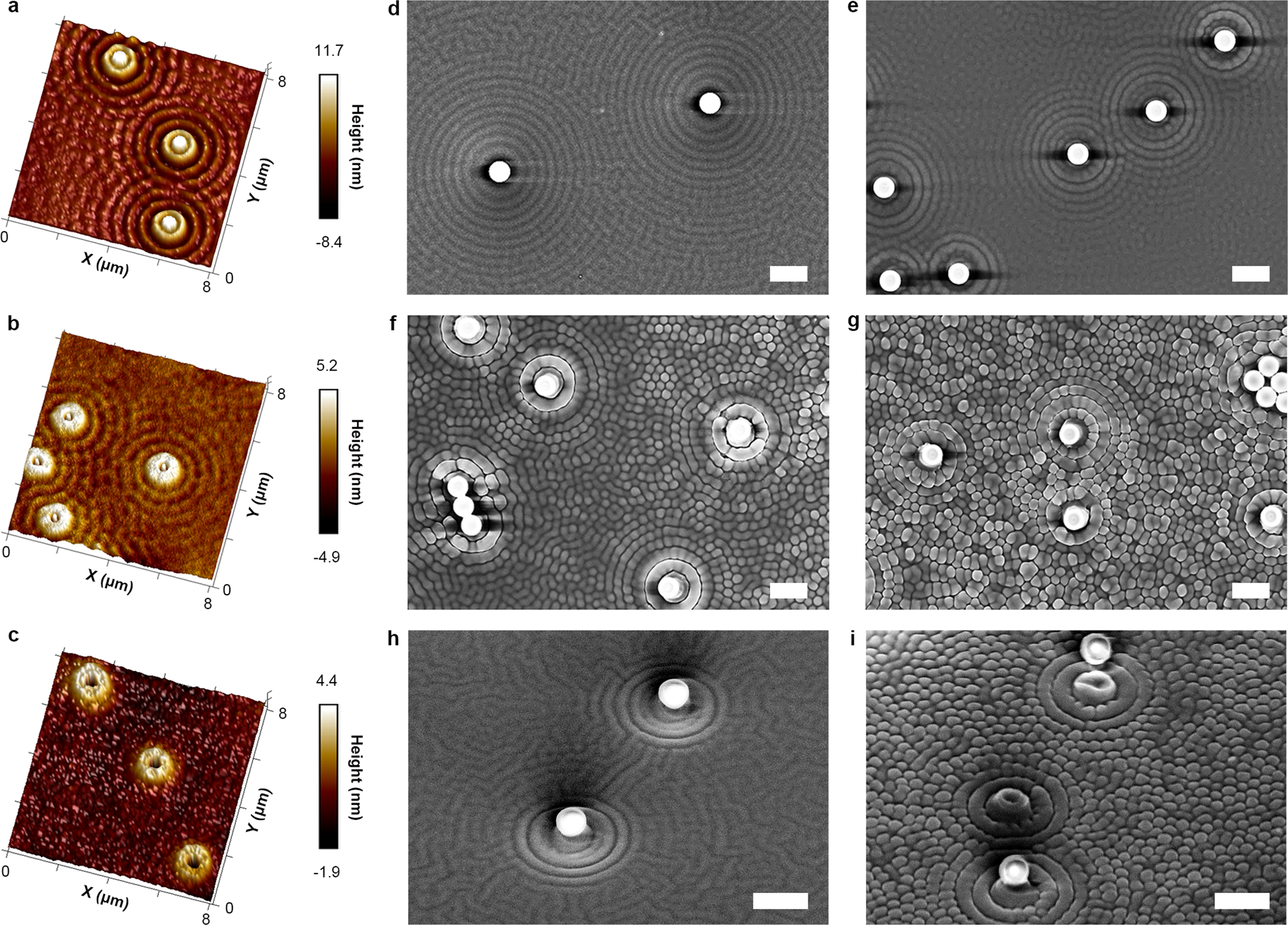 Fig. 6: The microscopic images of the IA-Chol films with the polystyrene spheres (D = 250 nm, 1000 nm) on the surfaces after irradiation with the circularly polarized light for different time periods.