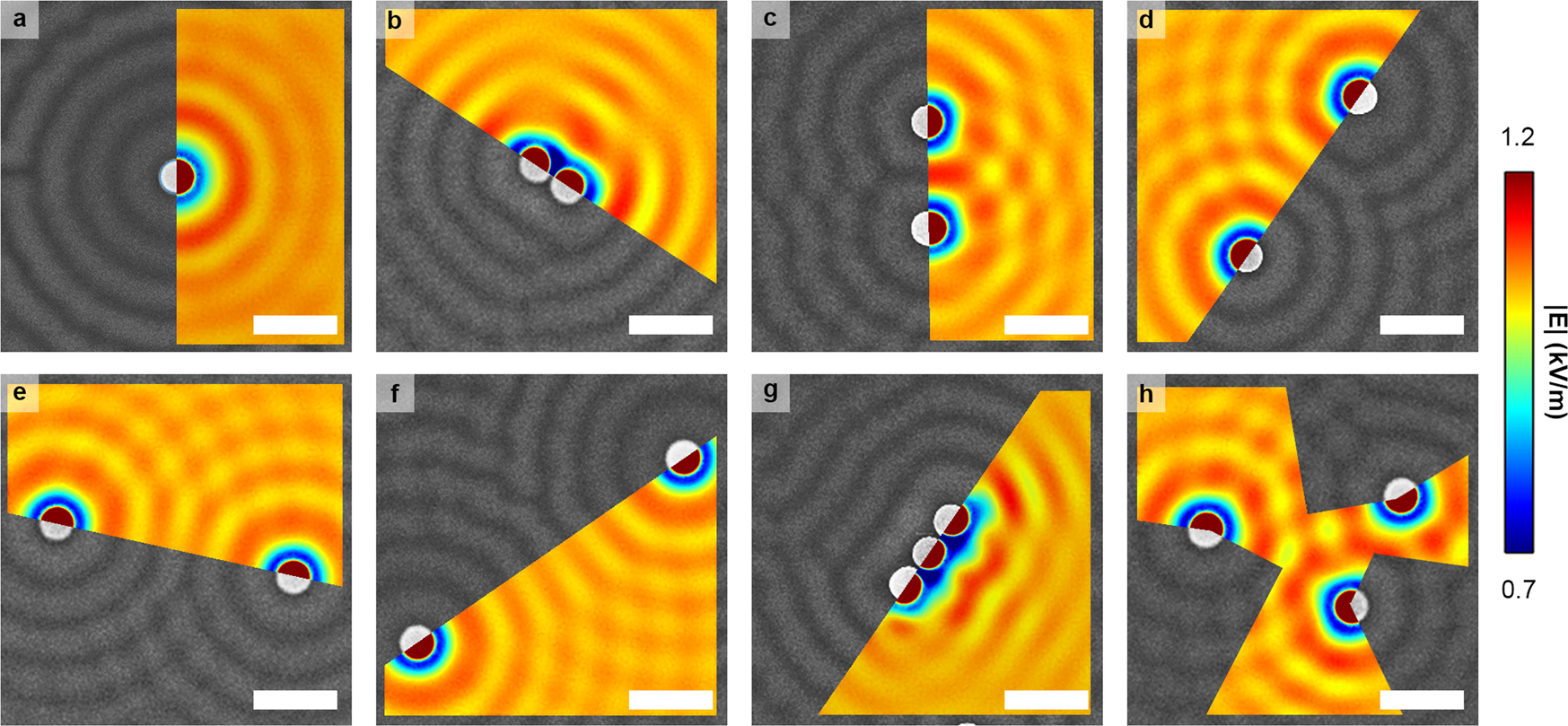 Fig. 8: Comparison of the E-field norm distribution (color) simulated by COMSOL Multiphysics with the top-view SEM images of the IA-Chol films (black and white) with polystyrene spheres (D = 500 nm) on the surfaces after being exposed to the circularly polarized light for 10 min.