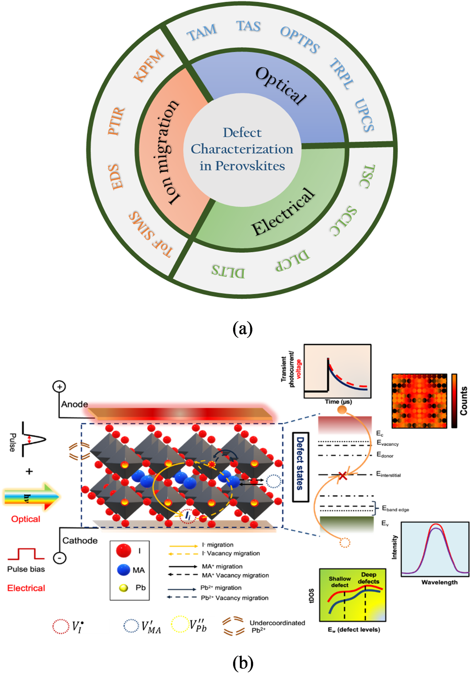 Advanced spectroscopic techniques for characterizing defects in 