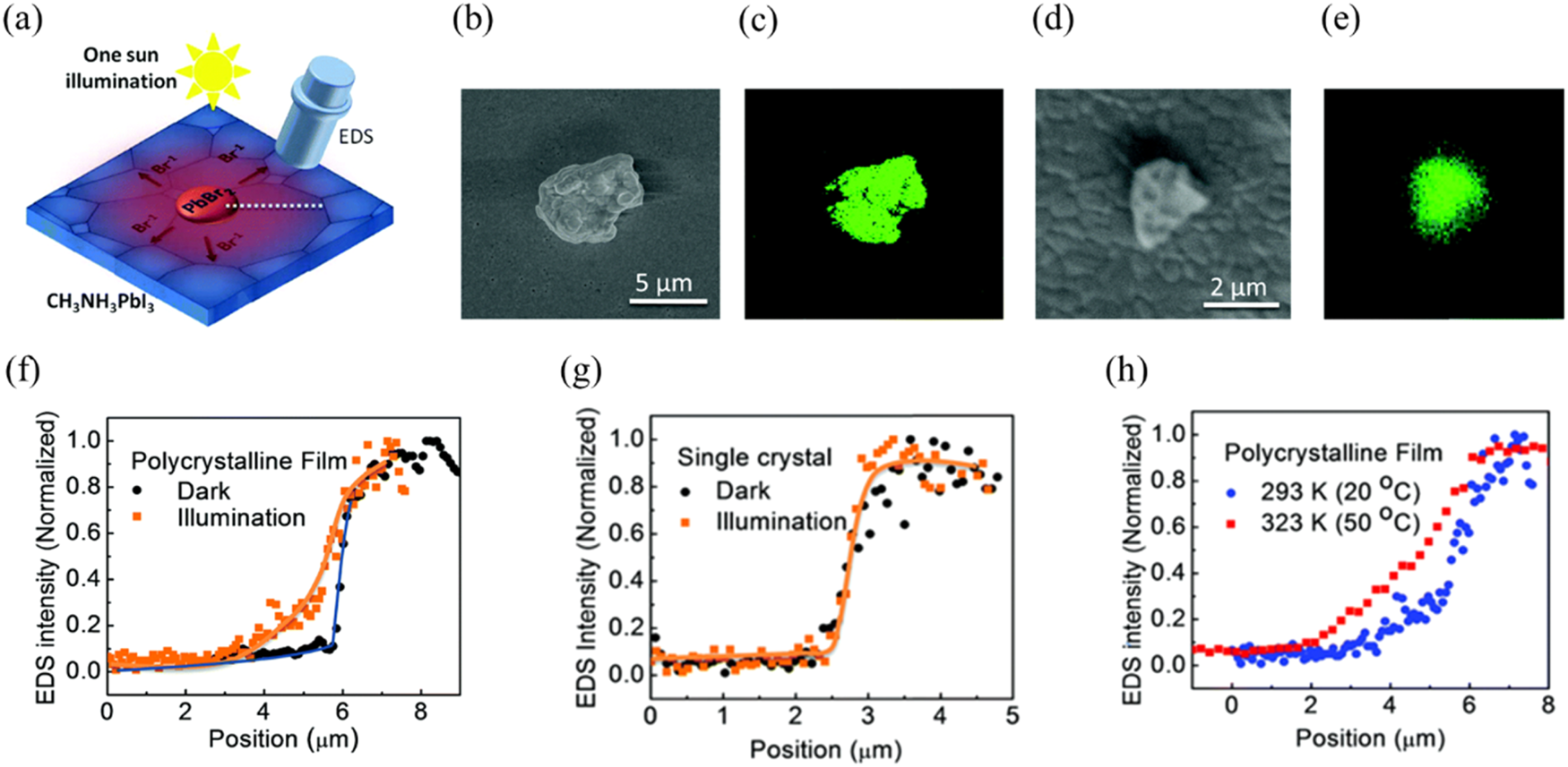 Fig. 23: Mapping ionic diffusion in MAPbI3 perovskite films using Scanning electron microscopy and energy dispersive X-ray measurements.