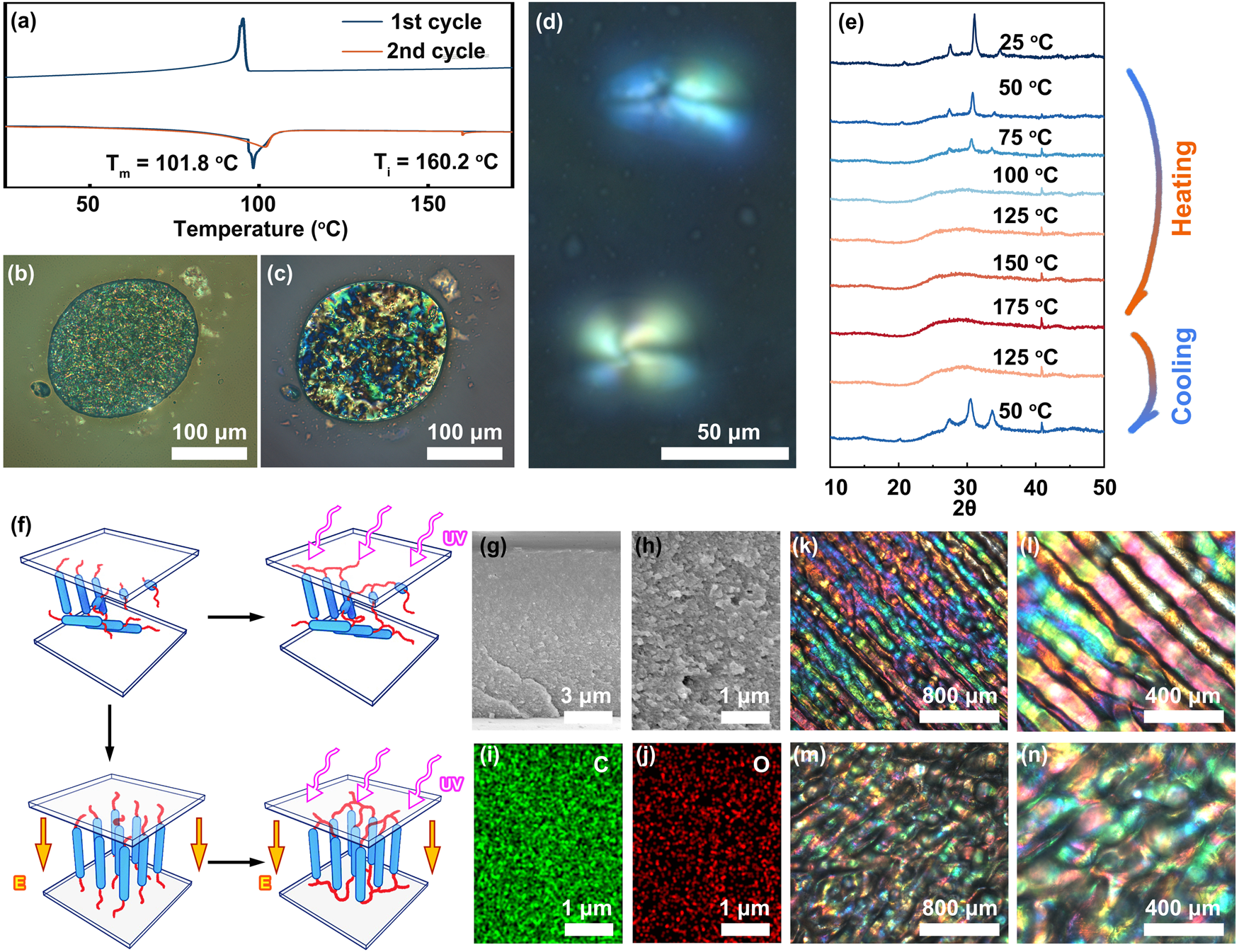 Fig. 2: The liquid crystal property of BPE and the schematic diagram of aligning monomers.