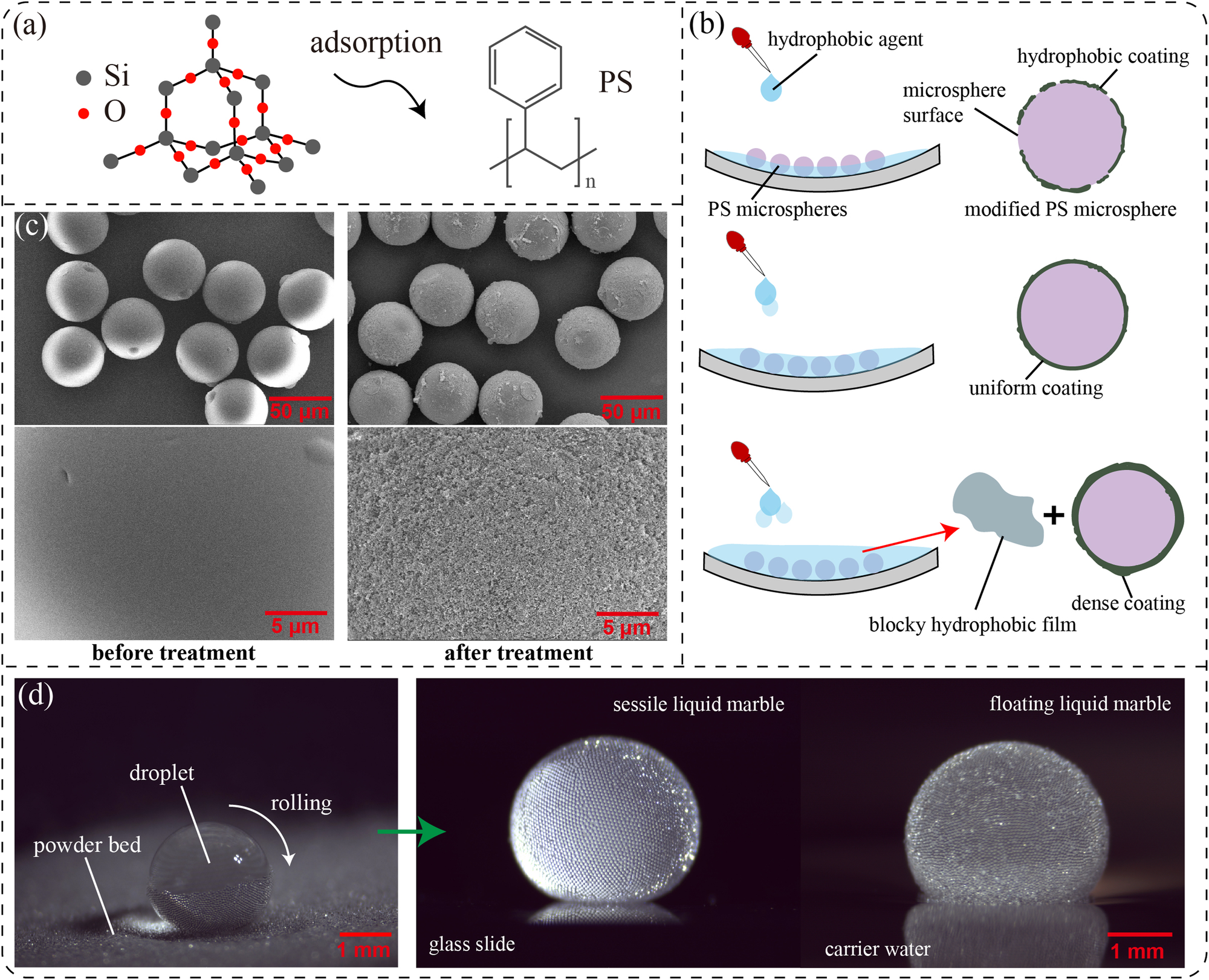 Fabrication of stable monolayer liquid marbles with reduced particle  coverage and locomotion on hydrophilic surface | Communications Materials