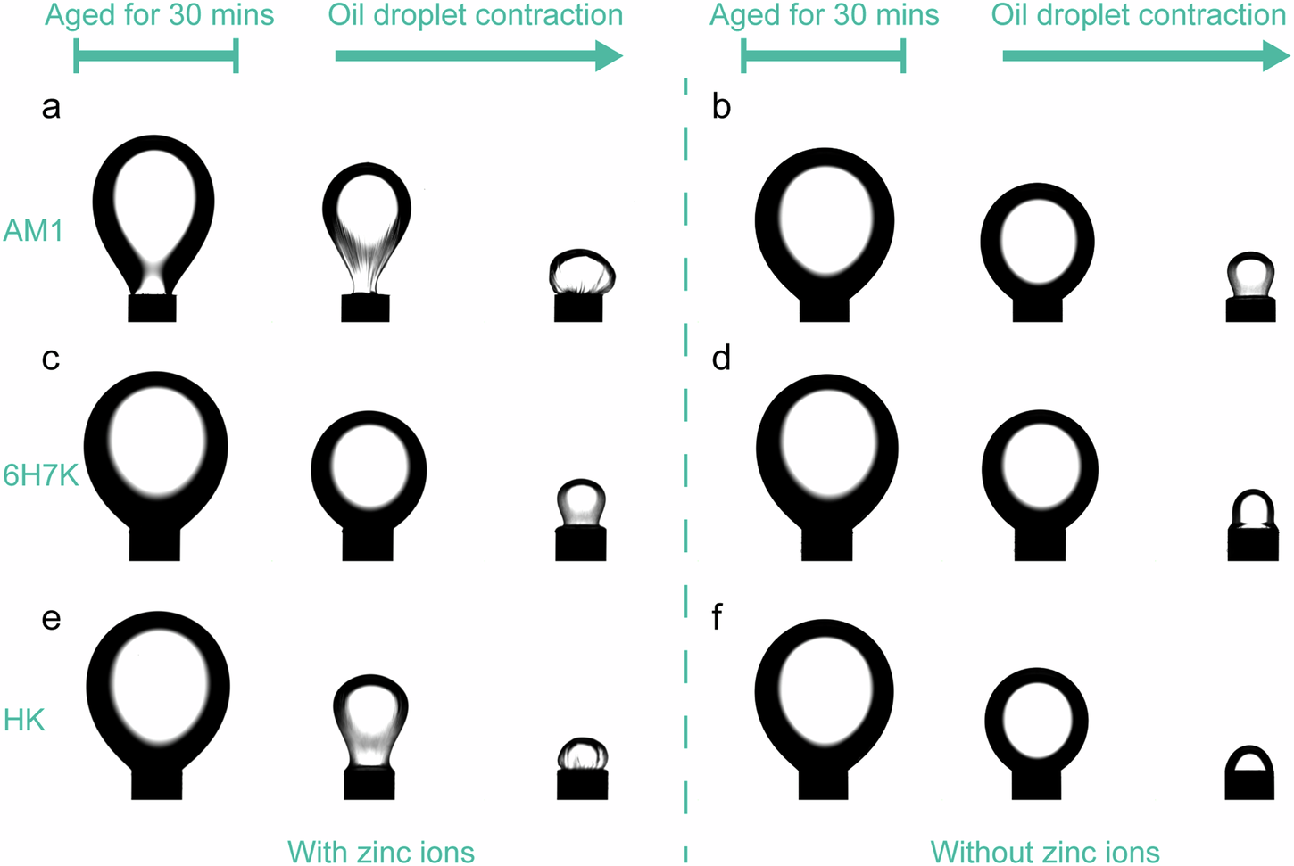 Fig. 6: Visualization of the impacts of zinc ions at the oil/water interface.