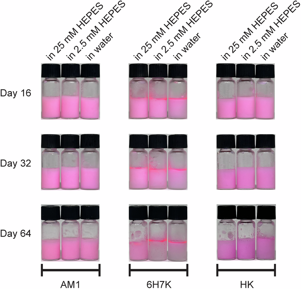 Fig. 8: Stability of AM1,6H7K and HK emulsions over 64 days.