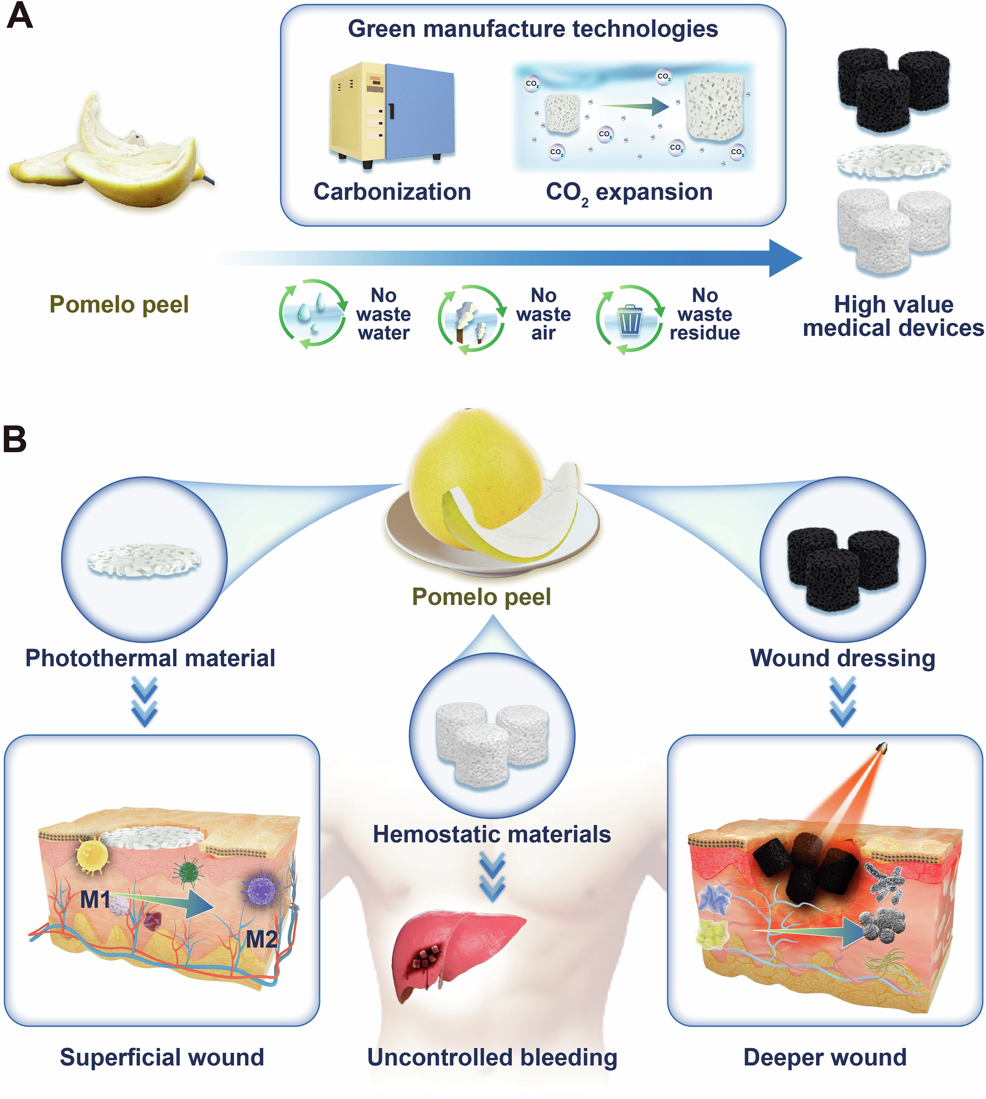 Fig. 1: Research and development of high-value medical devices based on waste pomelo peels.