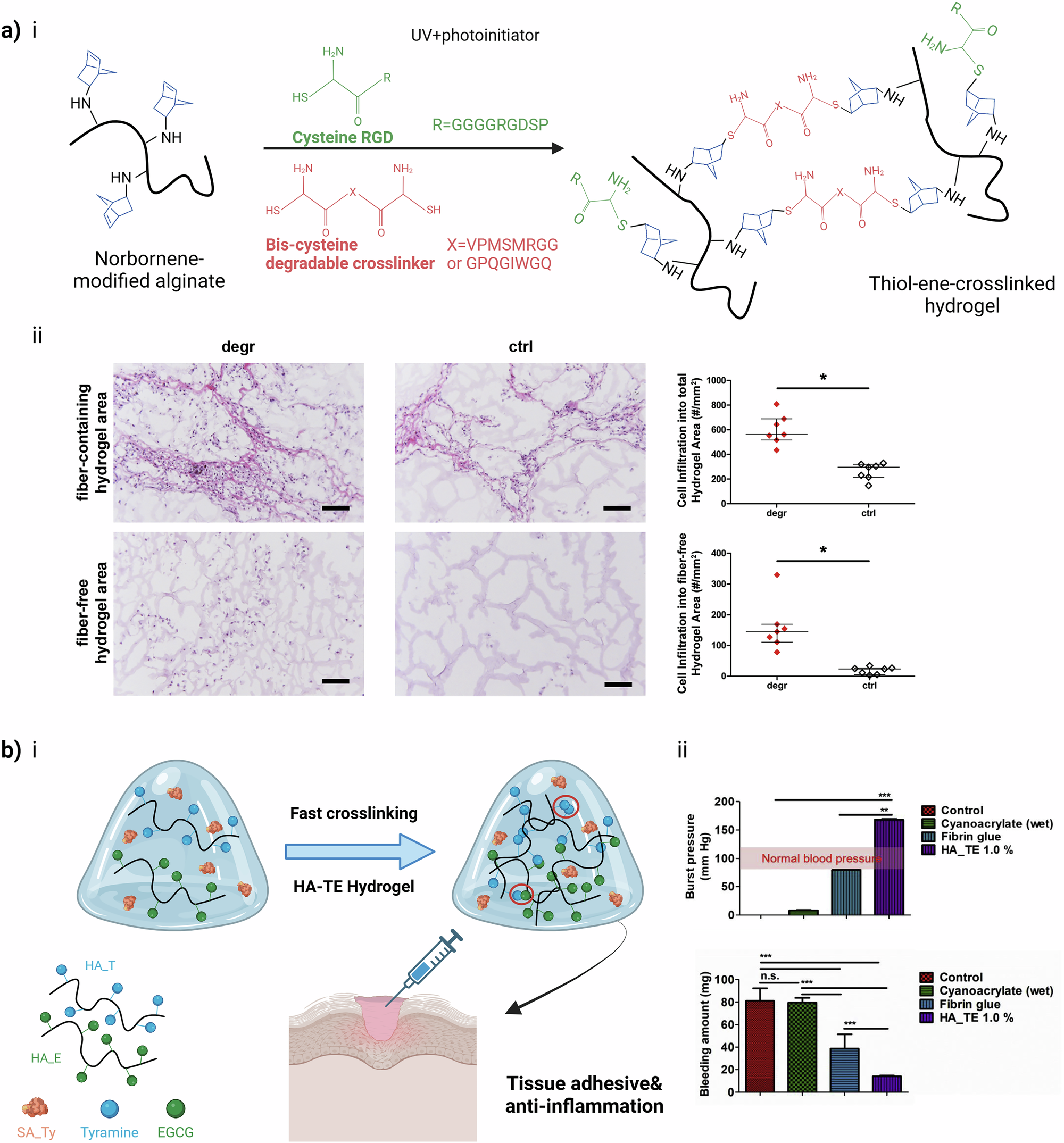 Fig. 4: Enzyme-responsive hydrogels for application in generalized inflammation.