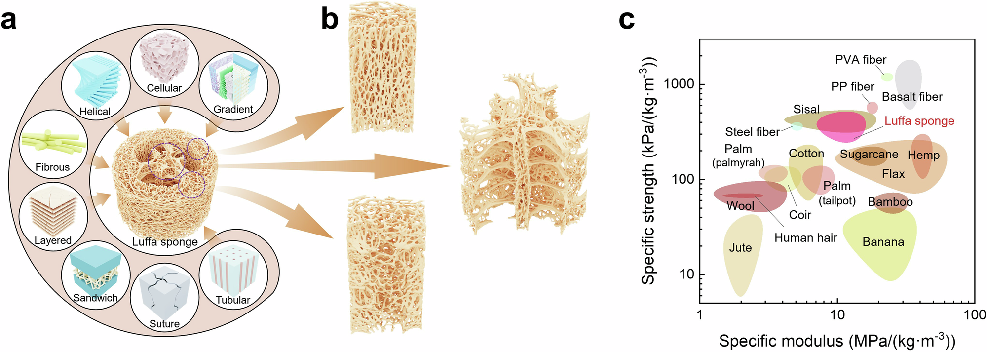 Luffa sponge as a sustainable reinforcement for impact-resistant  cementitious composites | Communications Materials