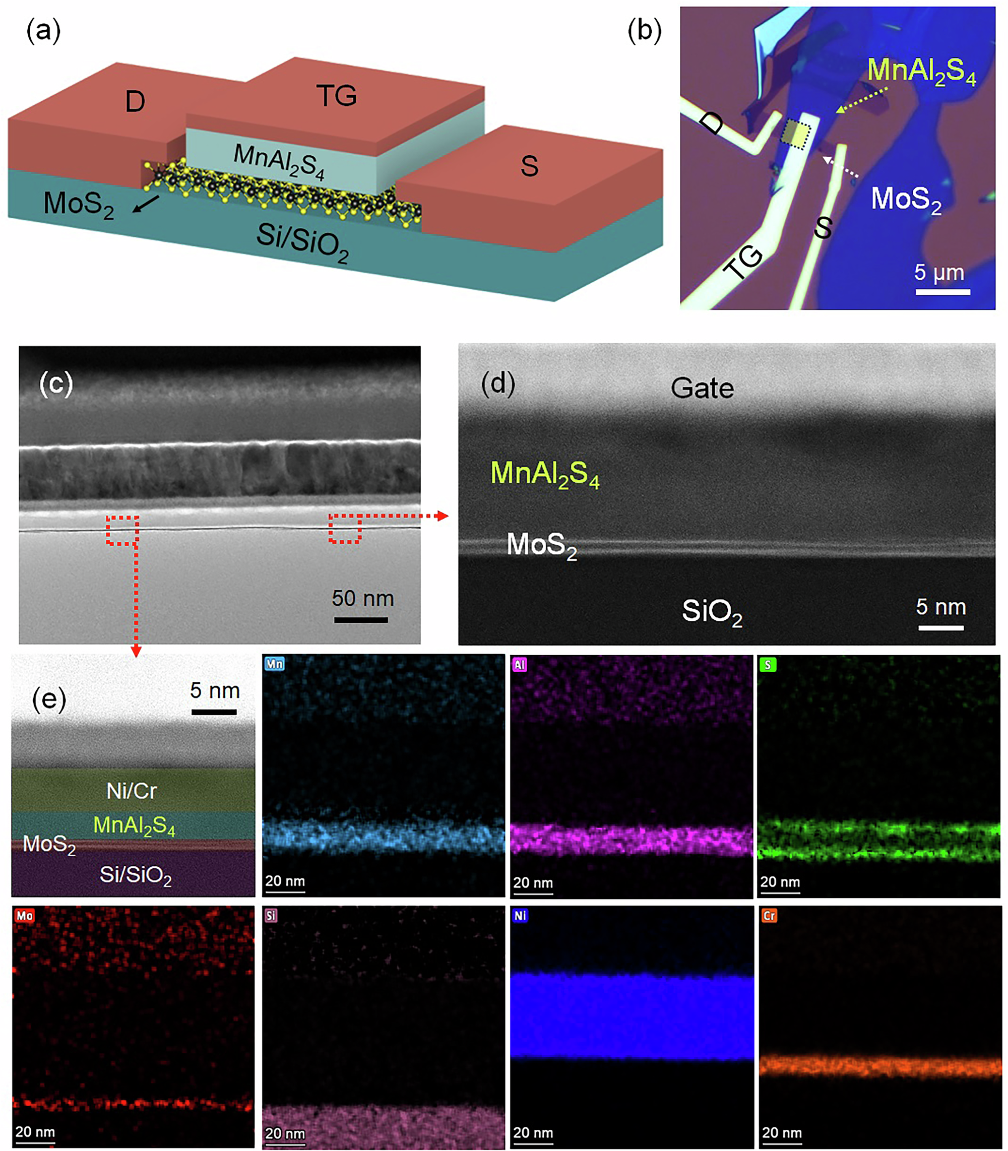 Fig. 1: Device schematic and HAADF-STEM and elemental analysis of device interface.