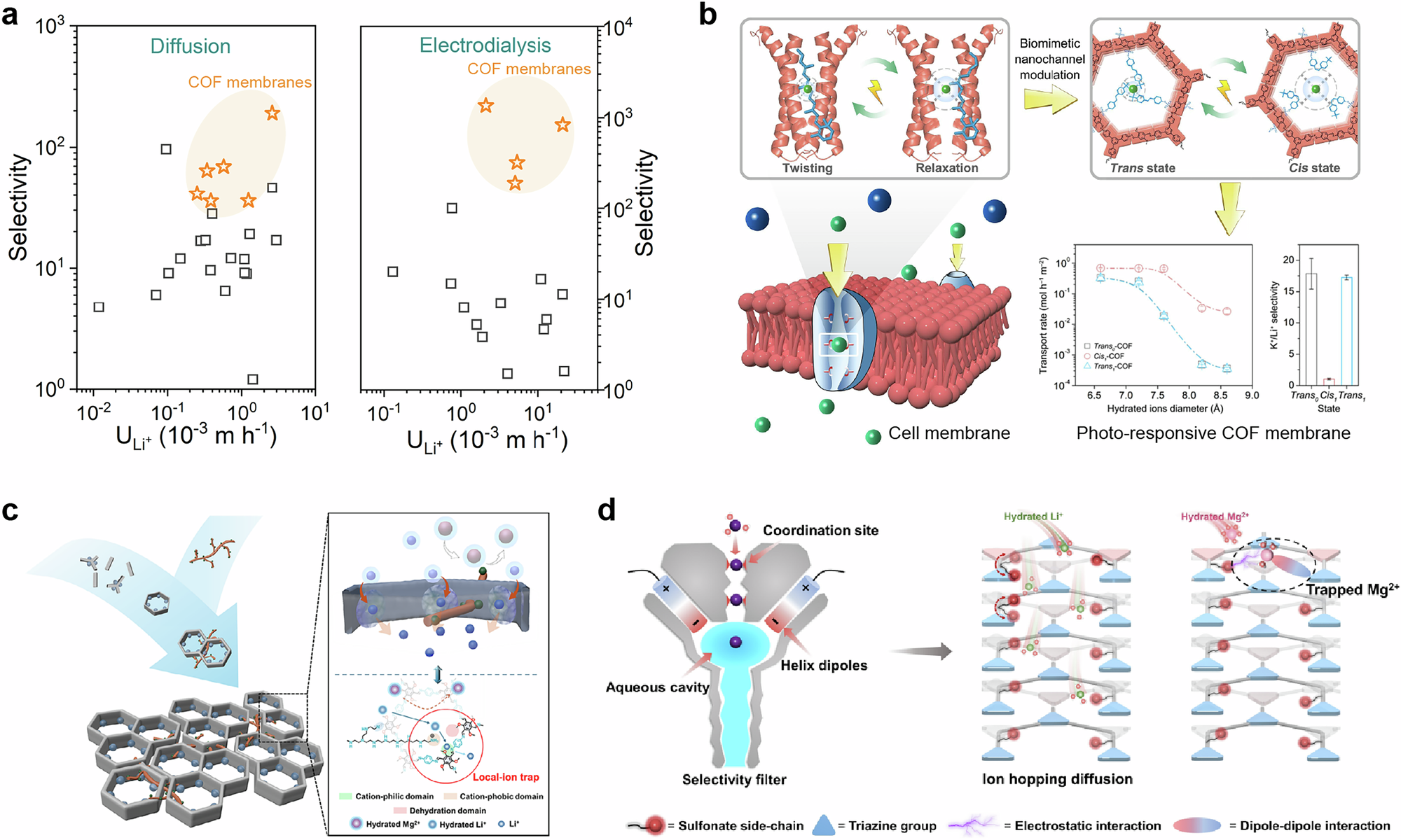 Fig. 10: COF membrane with precise and smart nanochannels for ion separation.