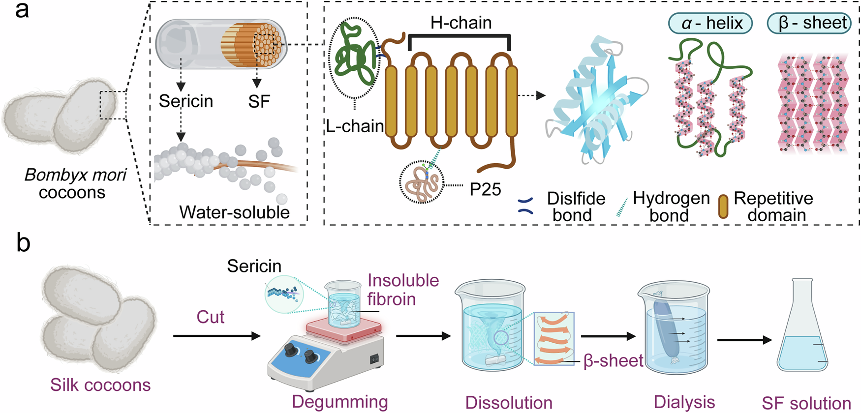 silk fibroin dressing Regenerated silk fibroin-based dressing modified with carnosine-bentonite nanosheets accelerates healing of second-degree burn wound | Chemical Papers