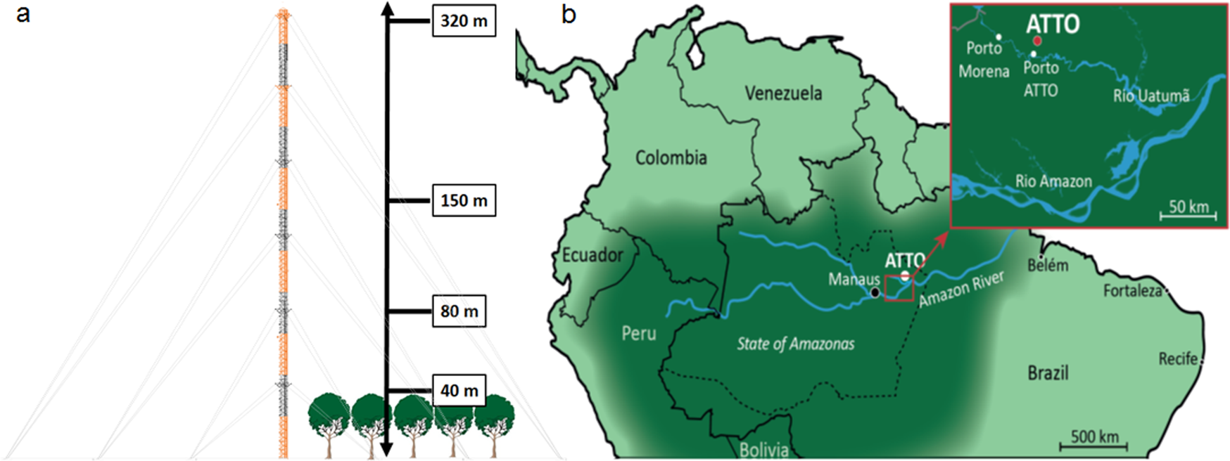 Surprising chiral composition changes over the Amazon rainforest with  height, time and season | Communications Earth & Environment