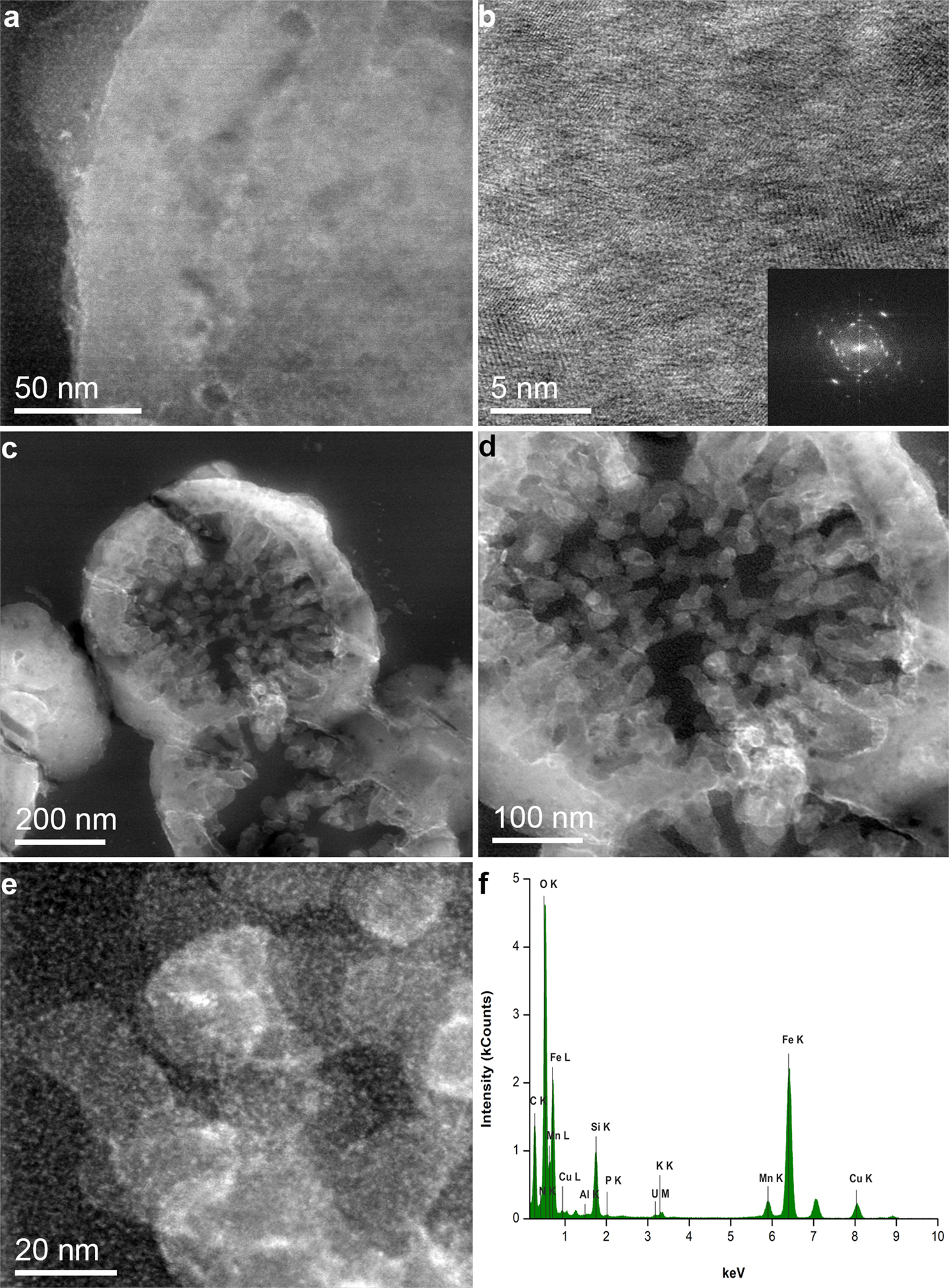 Fig. 3: High-resolution STEM (HR-STEM) analysis of M. sedula grown on NWA 7034.
