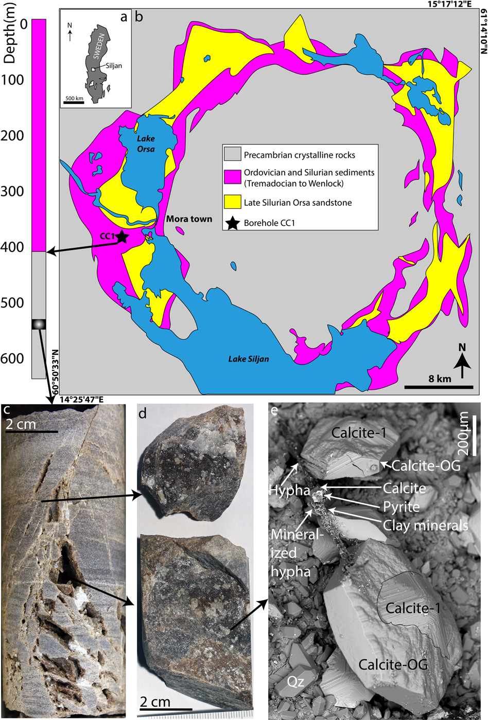 Fossilized anaerobic and possibly methanogenesis-fueling fungi identified  deep within the Siljan impact structure, Sweden | Communications Earth &  Environment