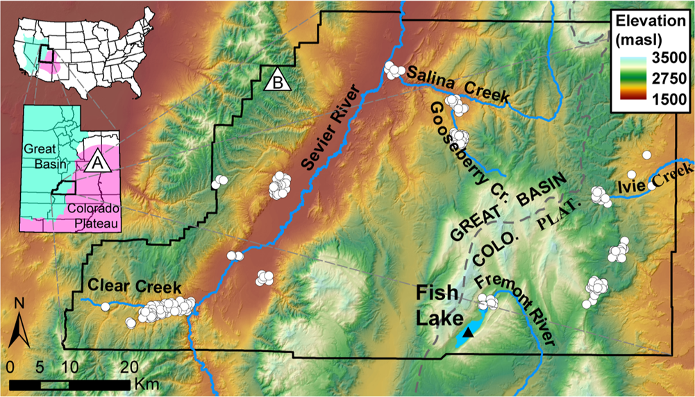 Could the Colorado Plateau Be an Ancient Impact Scar?