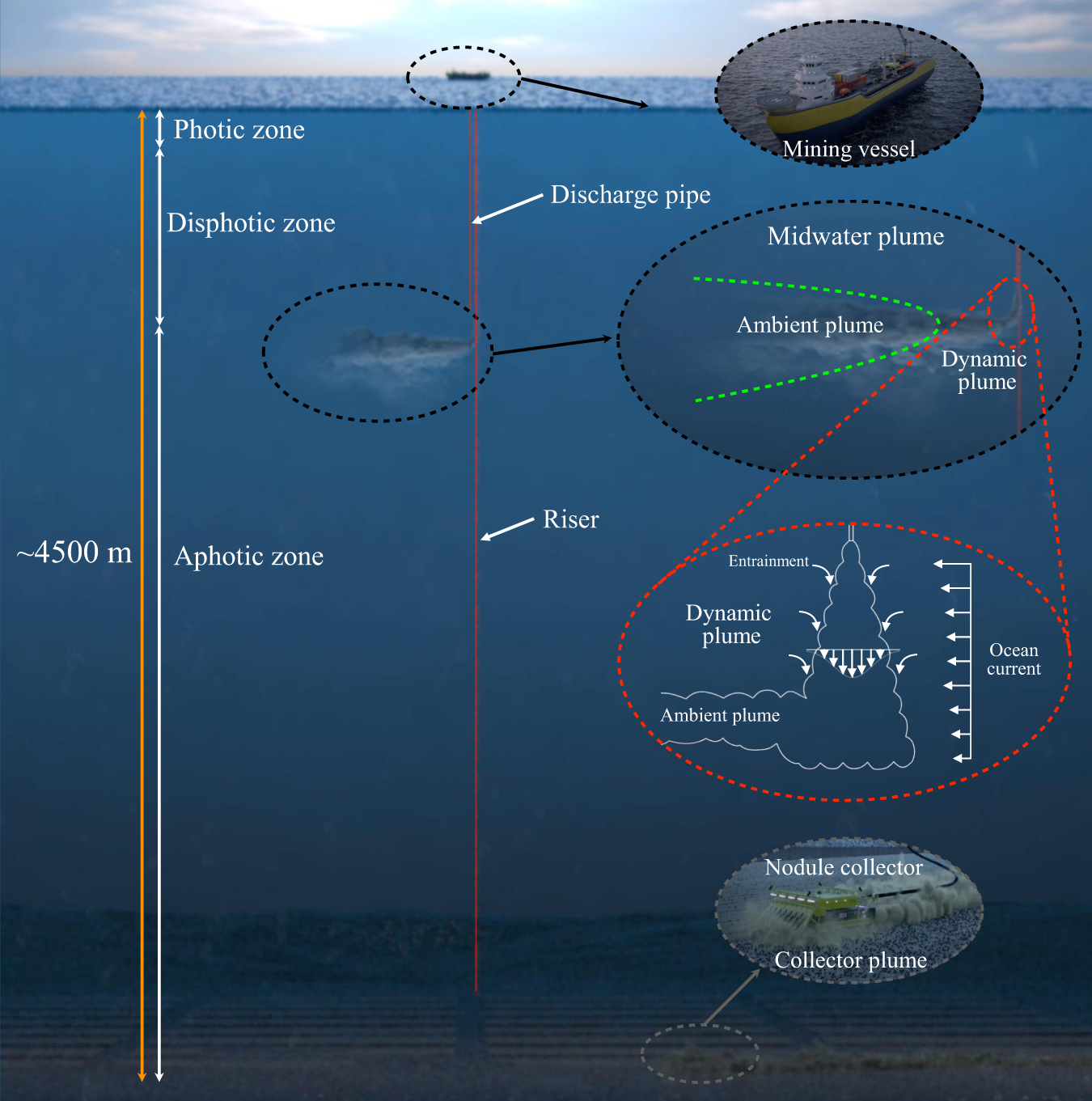 Extent of impact of deep-sea nodule mining midwater plumes is influenced by  sediment loading, turbulence and thresholds | Communications Earth &  Environment
