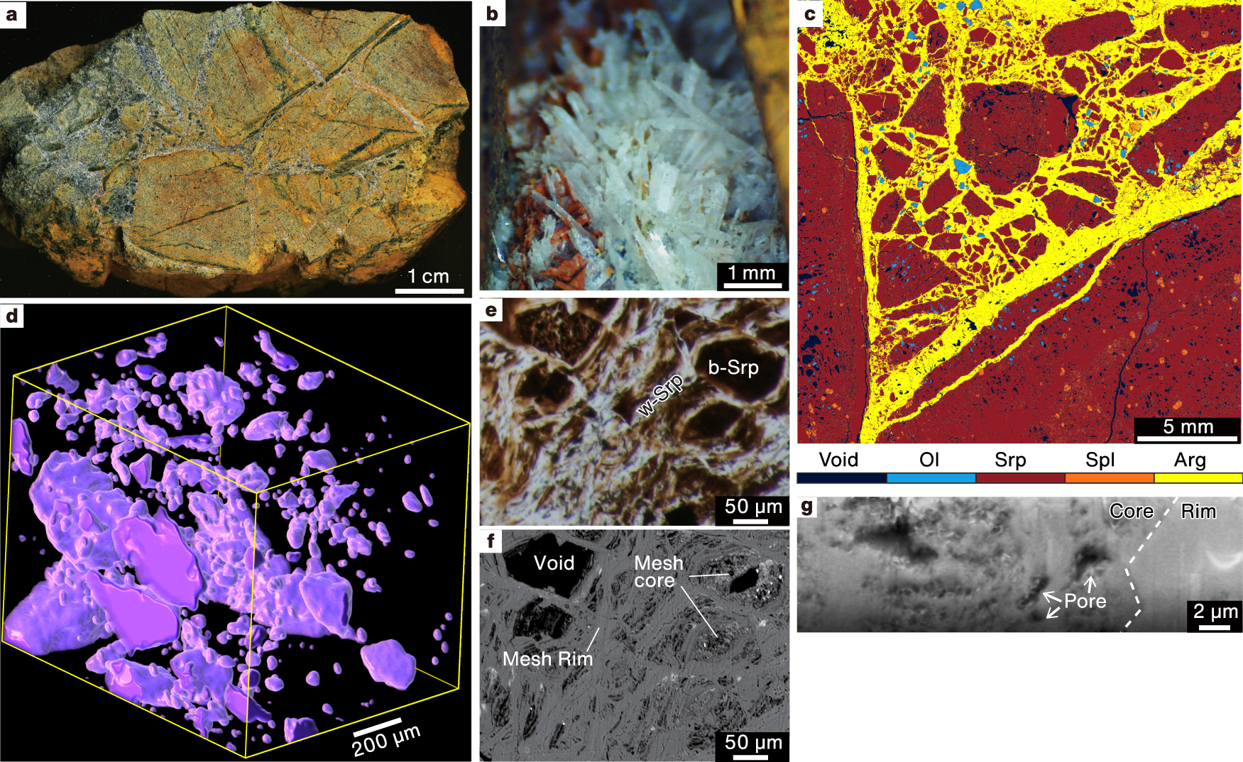 Fig. 2: In situ aragonite crystals from 6429 m below sea level from the YK17-14 Leg 2 cruise (6K#1507-R14).