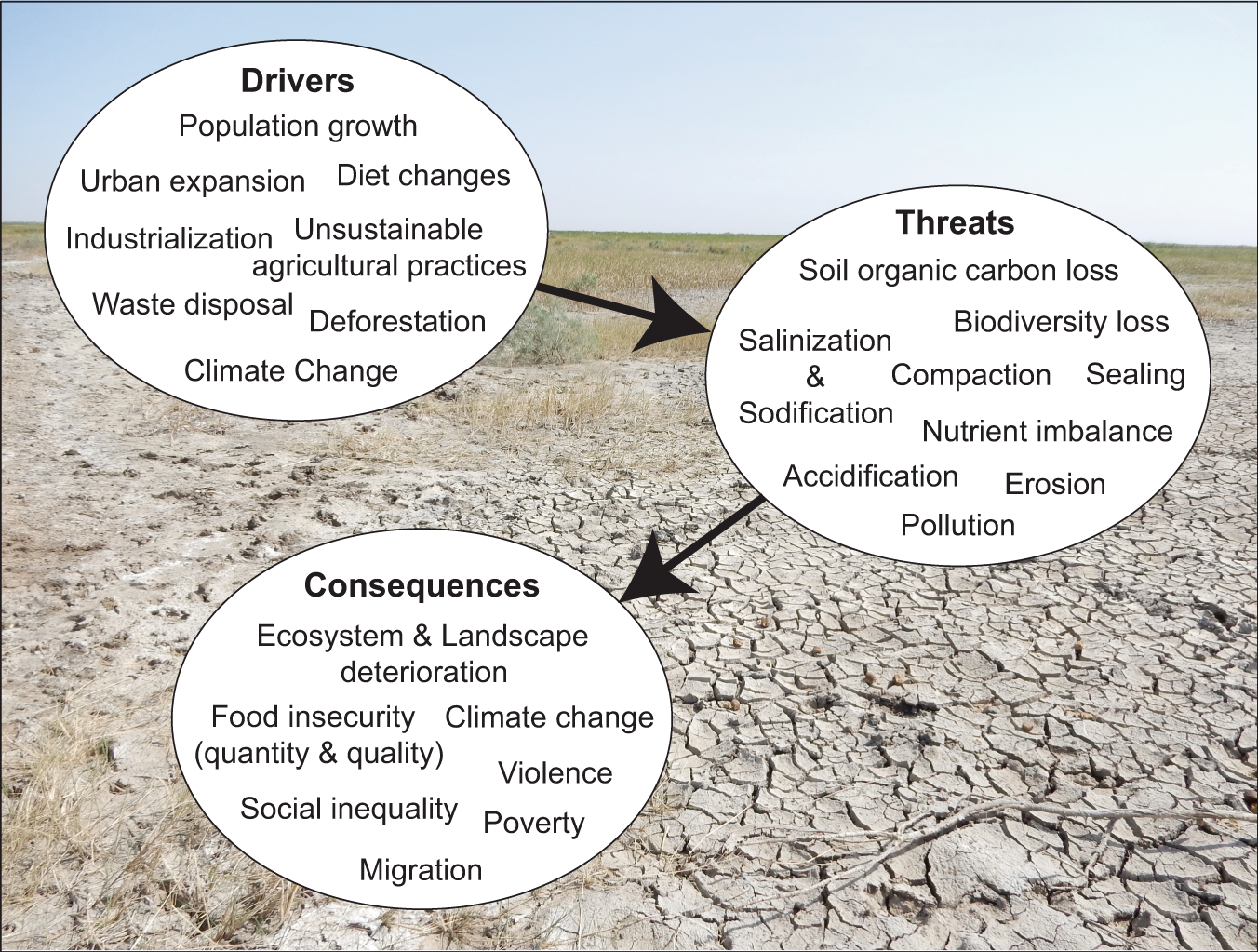 Planetary limits to soil degradation | Communications Earth & Environment