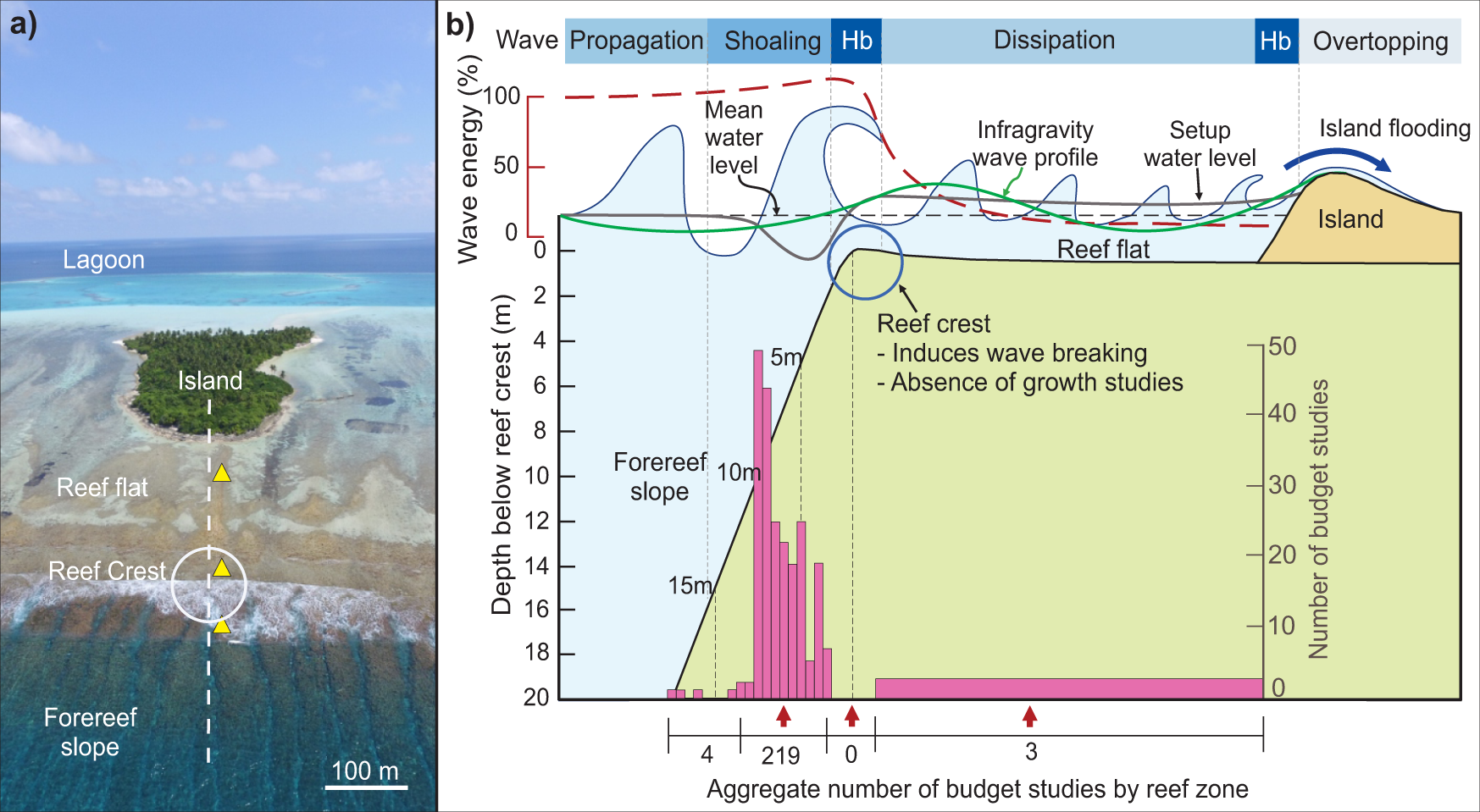 Sustained coral reef growth in the critical wave dissipation zone of a  Maldivian atoll | Communications Earth  Environment
