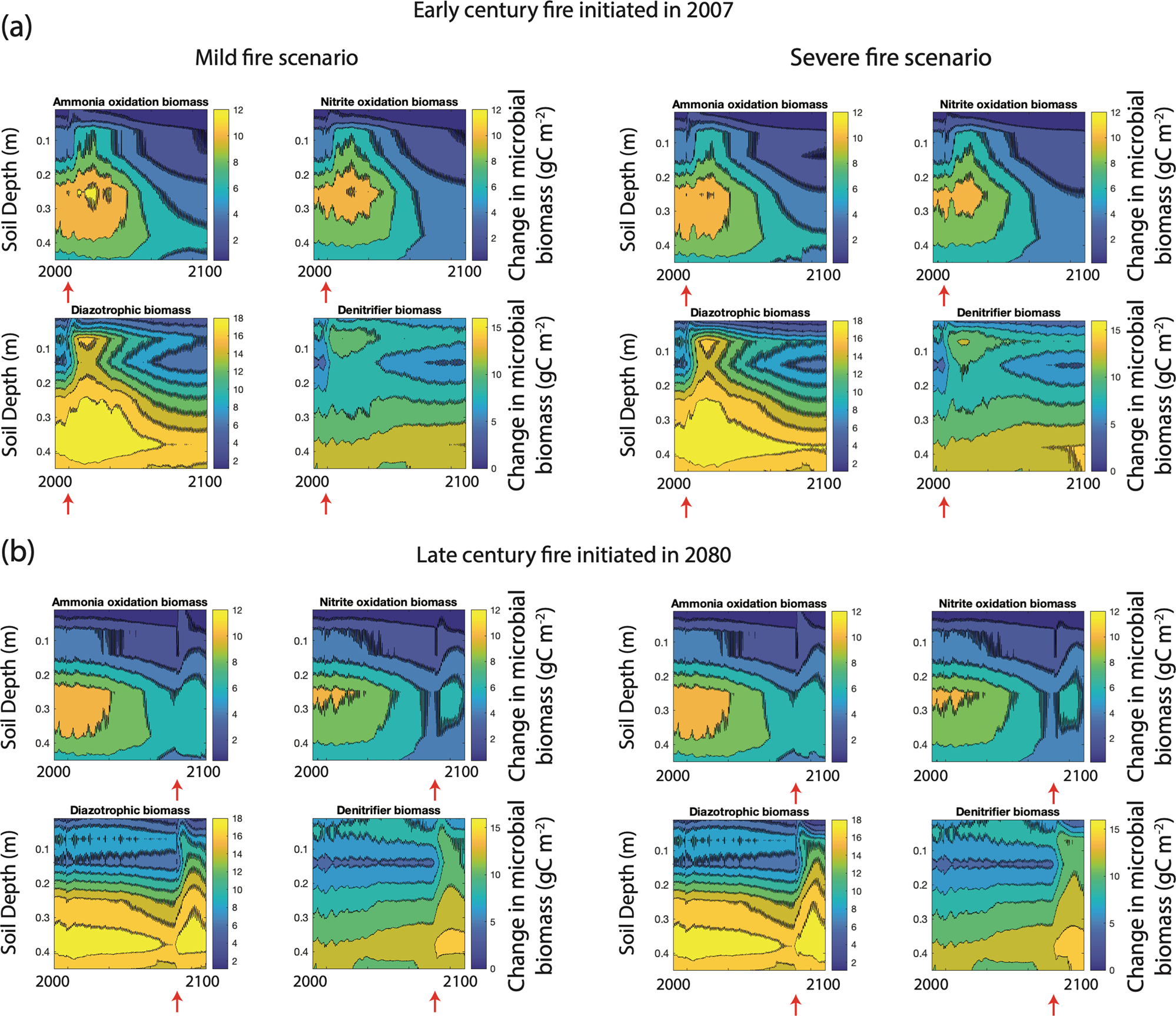 Fig. 7: Fire impacts on nitrogen cycling microbes.