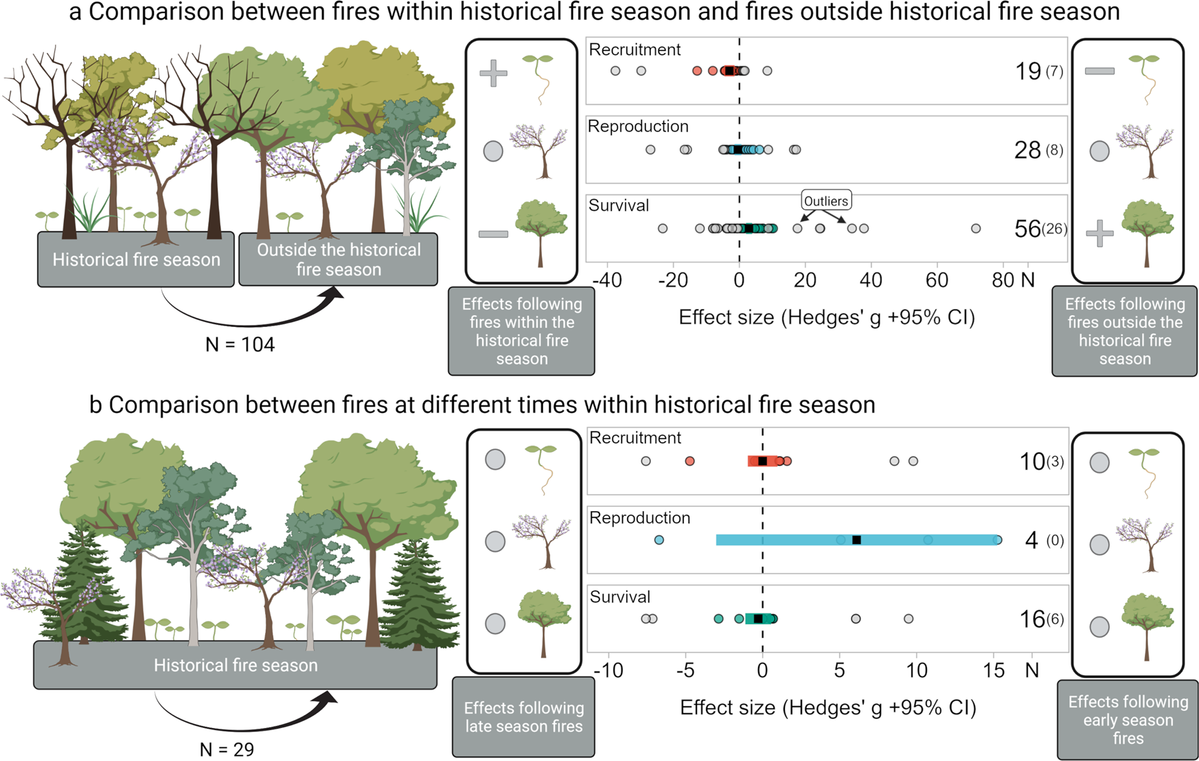 Under The Oak Tree Ch 60 Success of post-fire plant recovery strategies varies with shifting fire  seasonality | Communications Earth & Environment