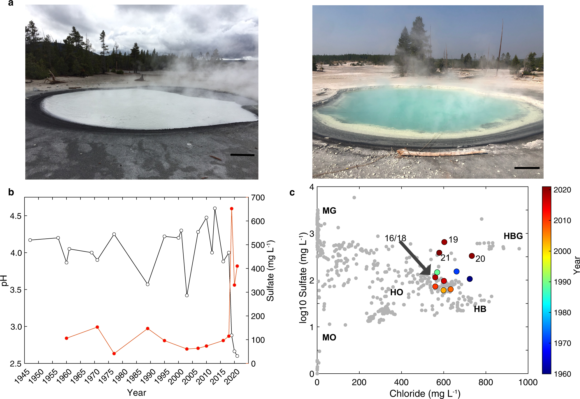 Subsurface Archaea associated with rapid geobiological change in a model  Yellowstone hot spring | Communications Earth & Environment