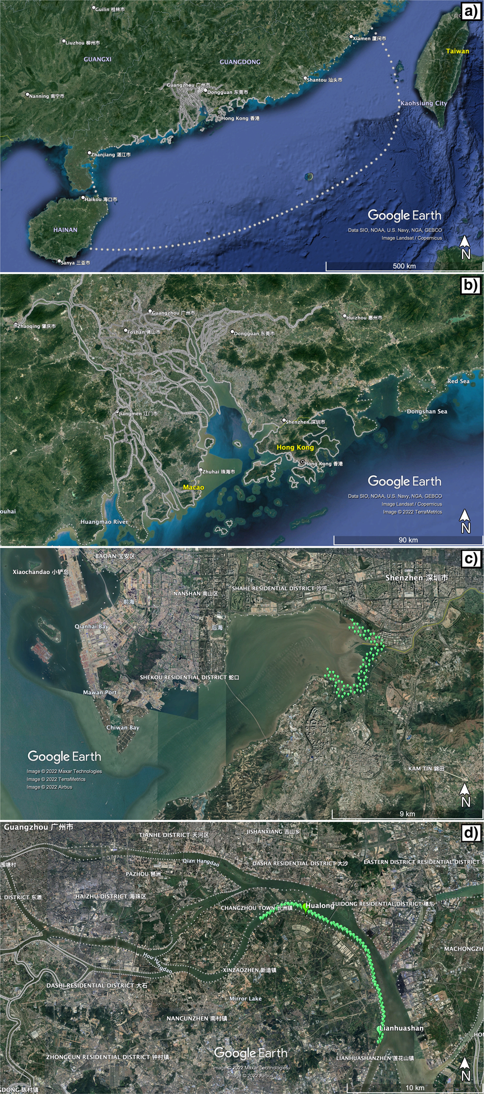 Mangrove forests can be an effective coastal defence in the Pearl River  Delta, China | Communications Earth & Environment