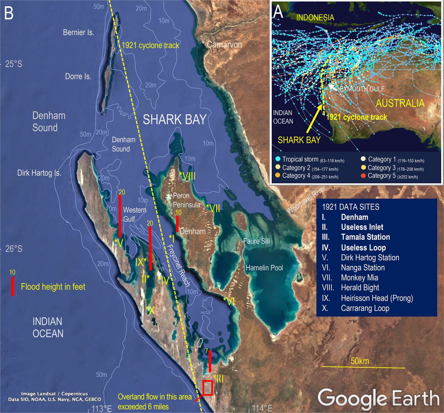 Australia's tropical rainforests have been dying faster for decades in  'clear and stark climate warning', Environment