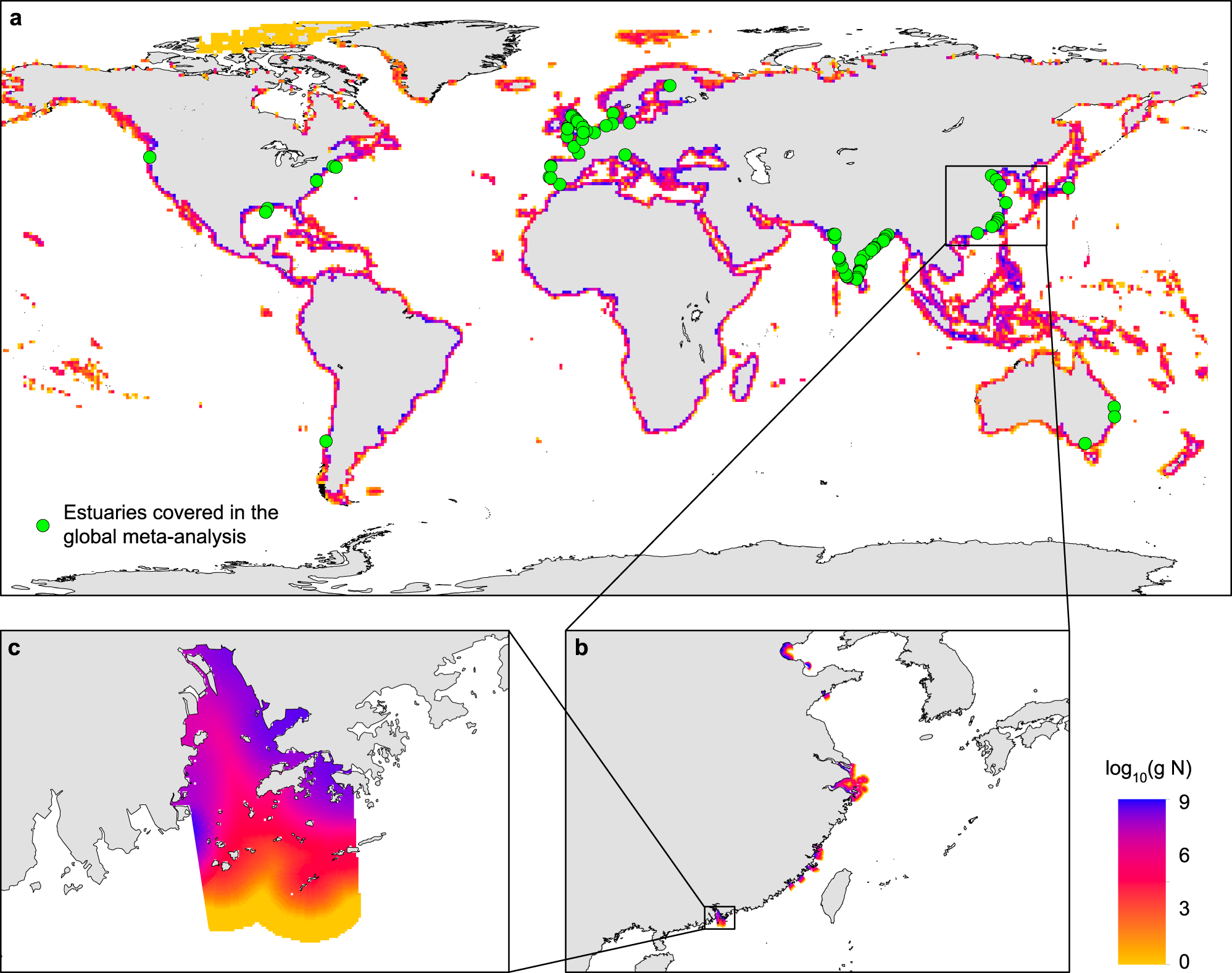 Fig. 4: Wastewater nitrogen in global estuaries.
