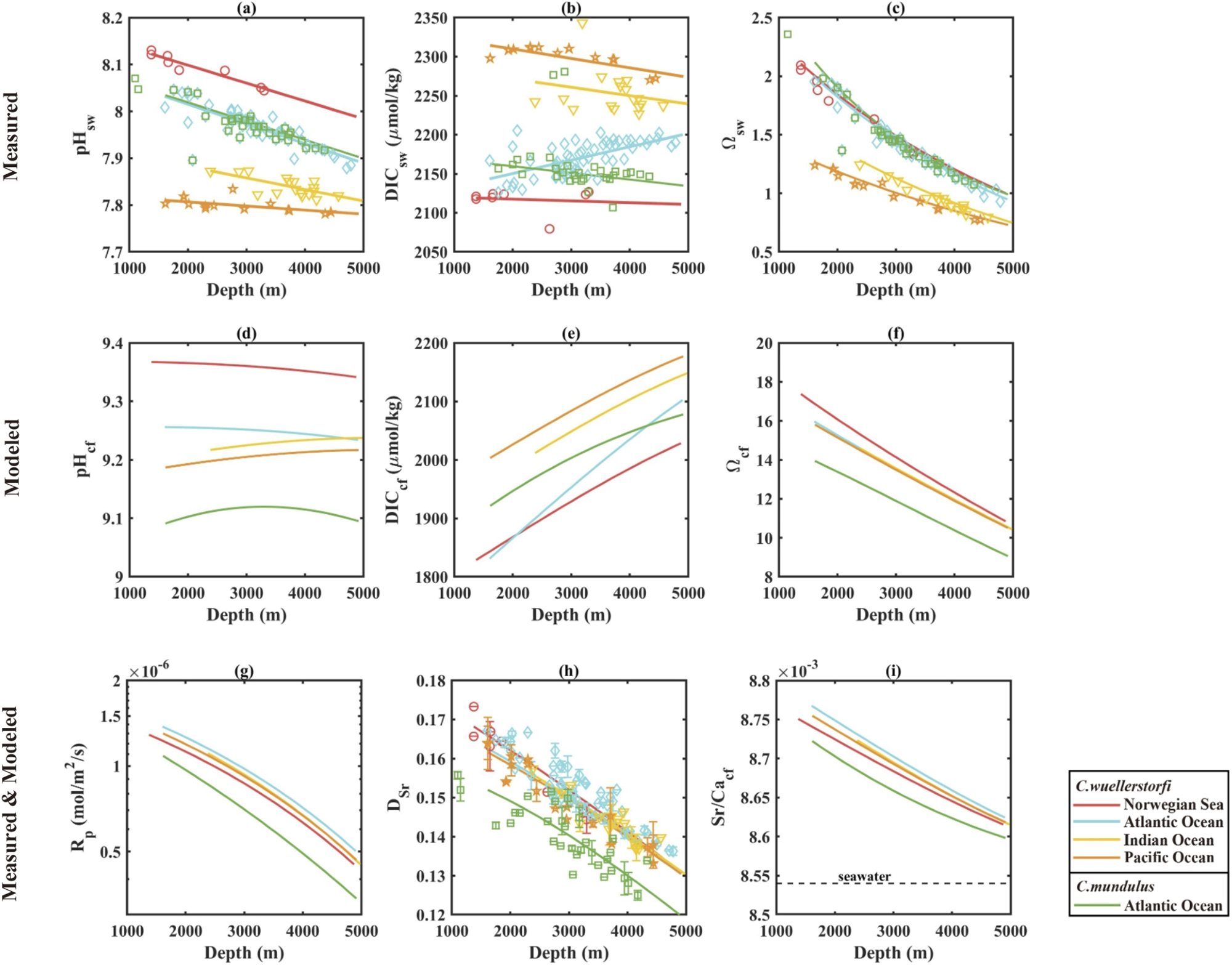 Fig. 3: Measured seawater chemistry and foraminiferal Sr partition coefficient (DSr), together with and modeled foraminiferal parameters.